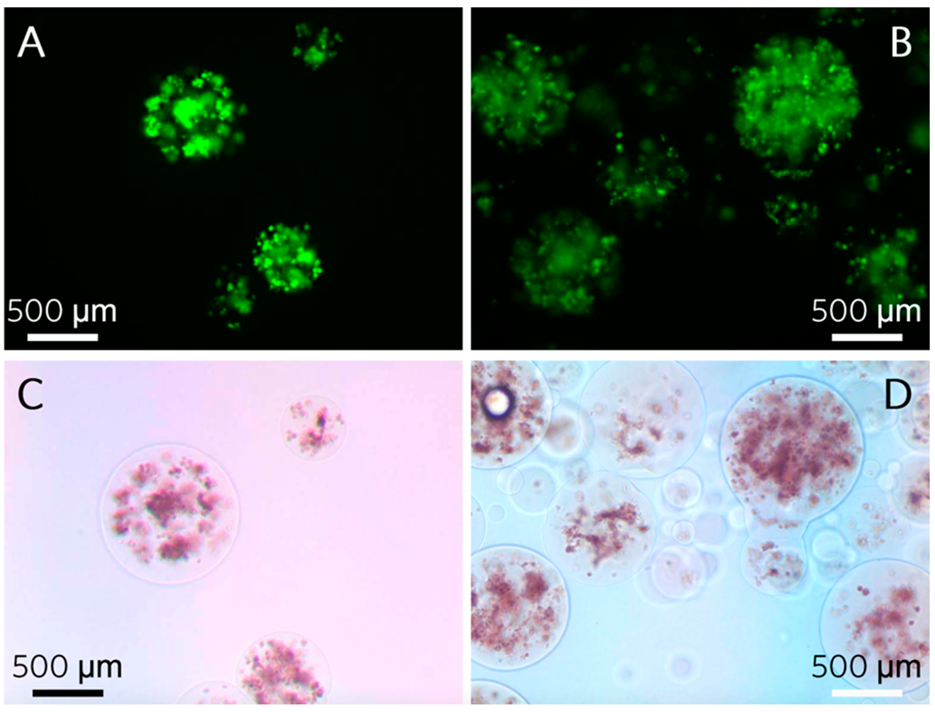 Polymers 13 02274 g005 550
