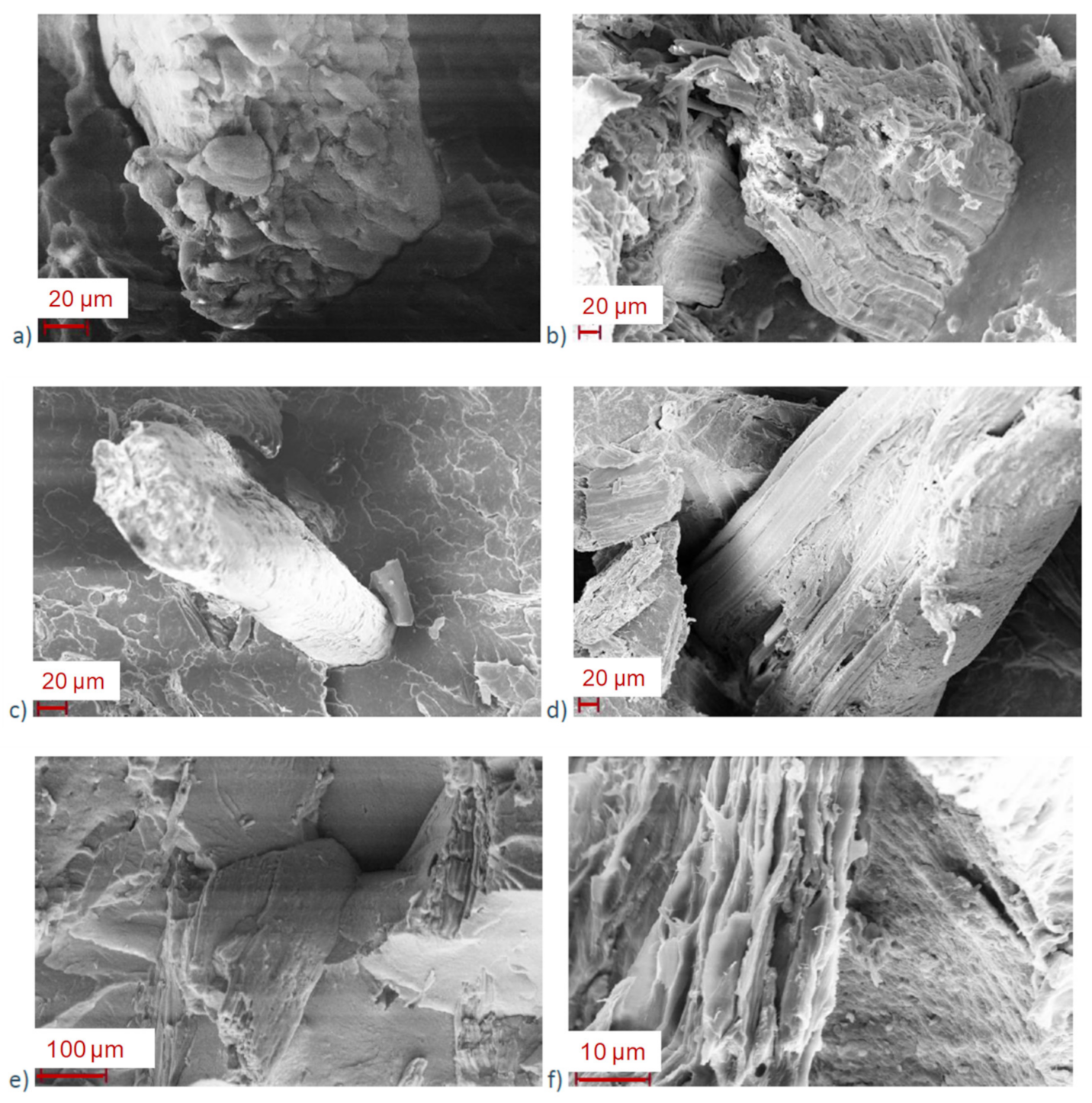Polymers 13 02285 g005 550