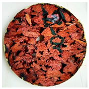 Polymers 13 02287 i008