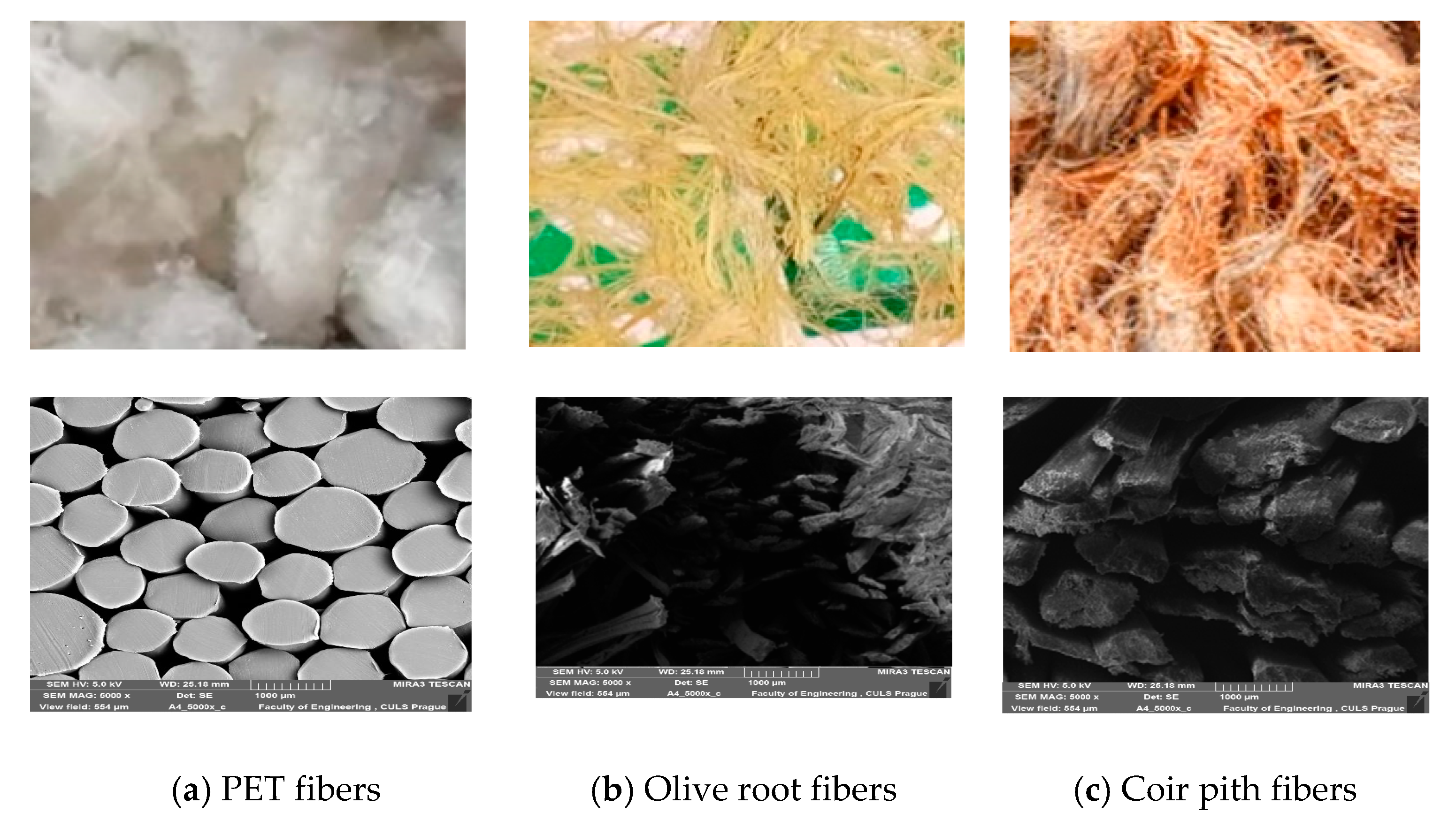 Polymers 13 02291 g001