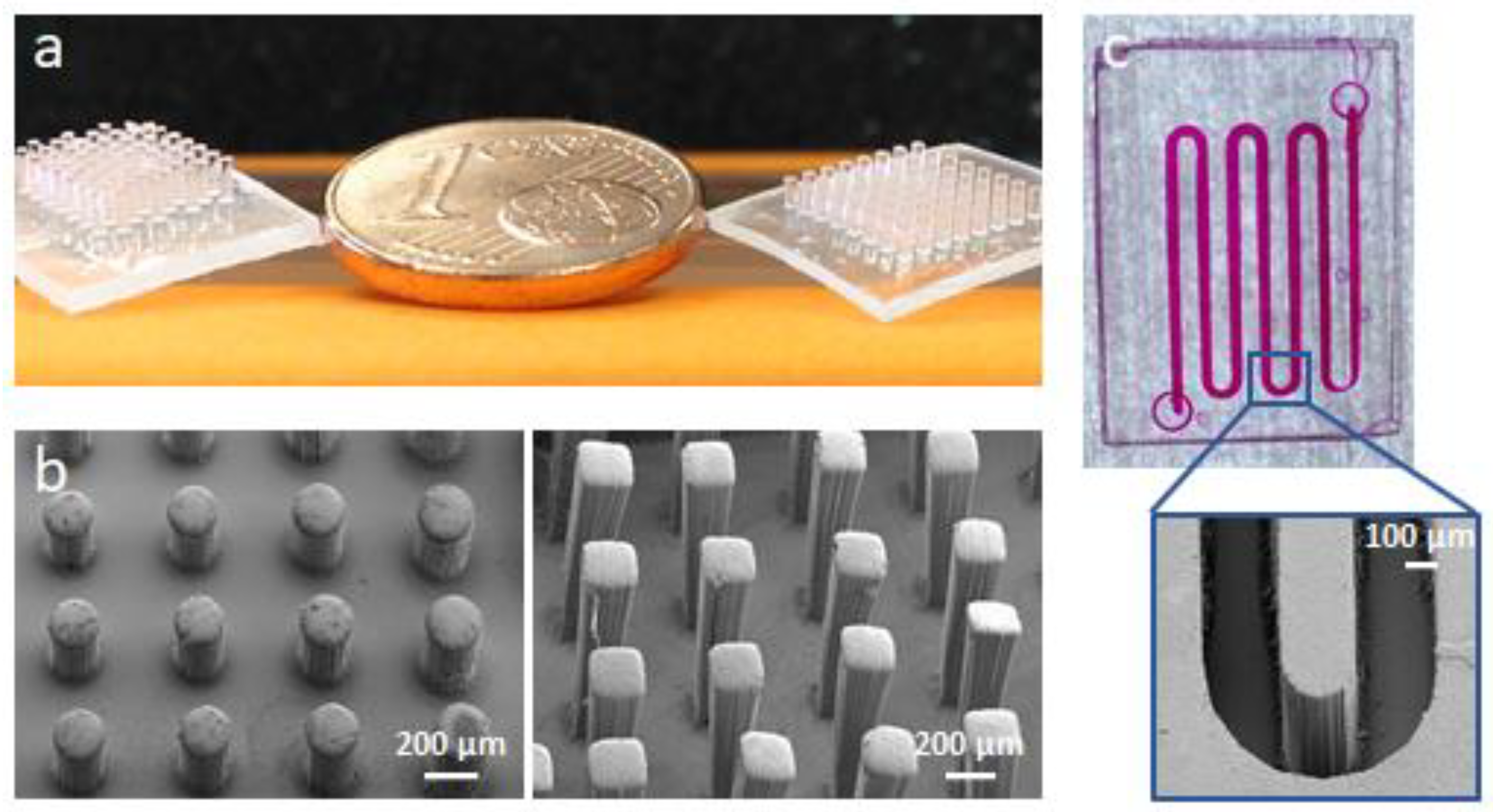 Polymers 13 02293 g007 550