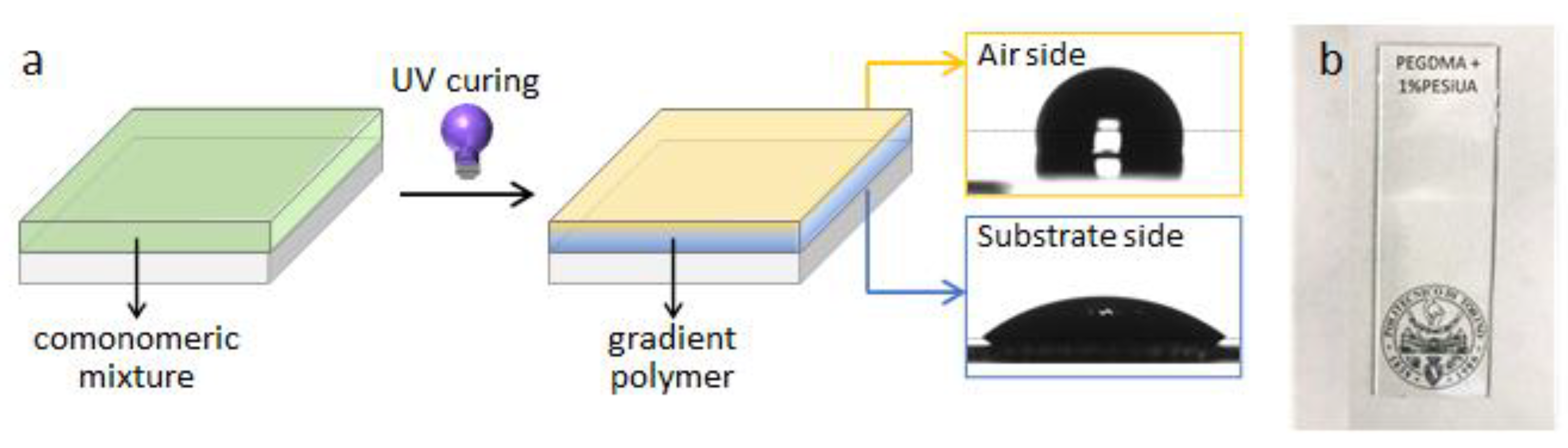 Polymers 13 02293 g008 550