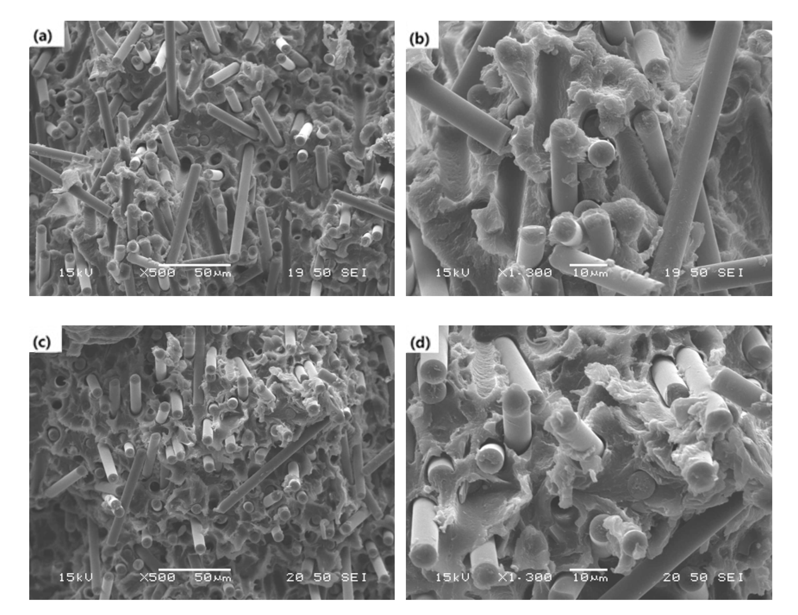 Polymers 13 02298 g012