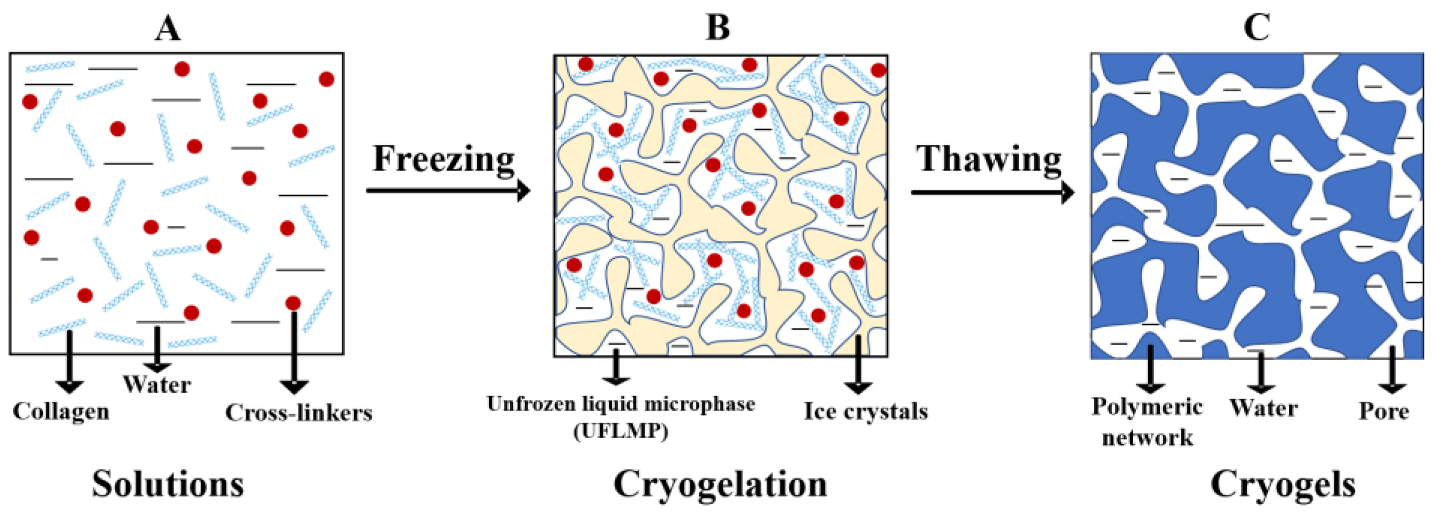 PDF) Identification of collagen-based materials that are supports