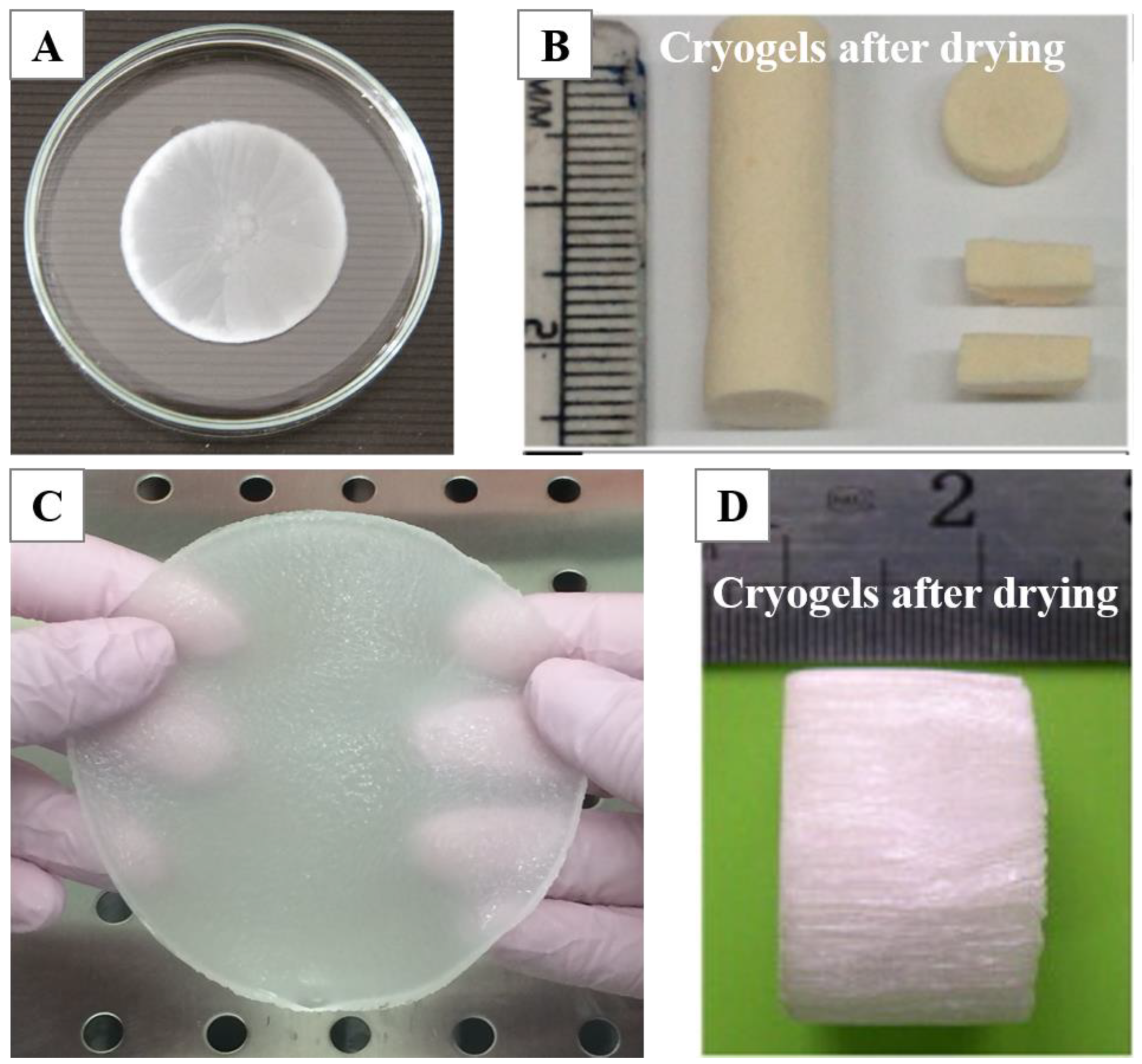 Polymers 13 02299 g002