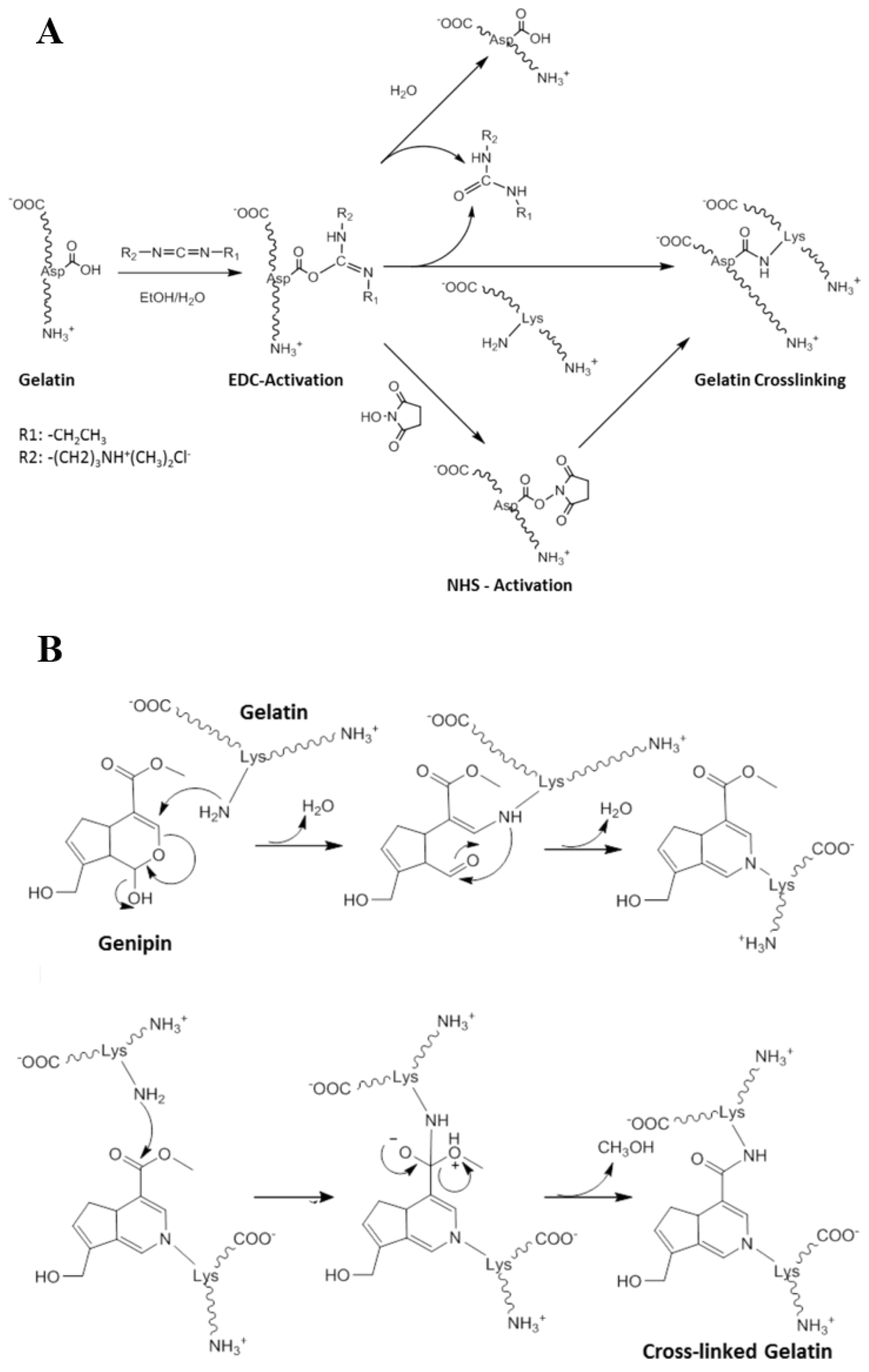 Polymers 13 02299 g004