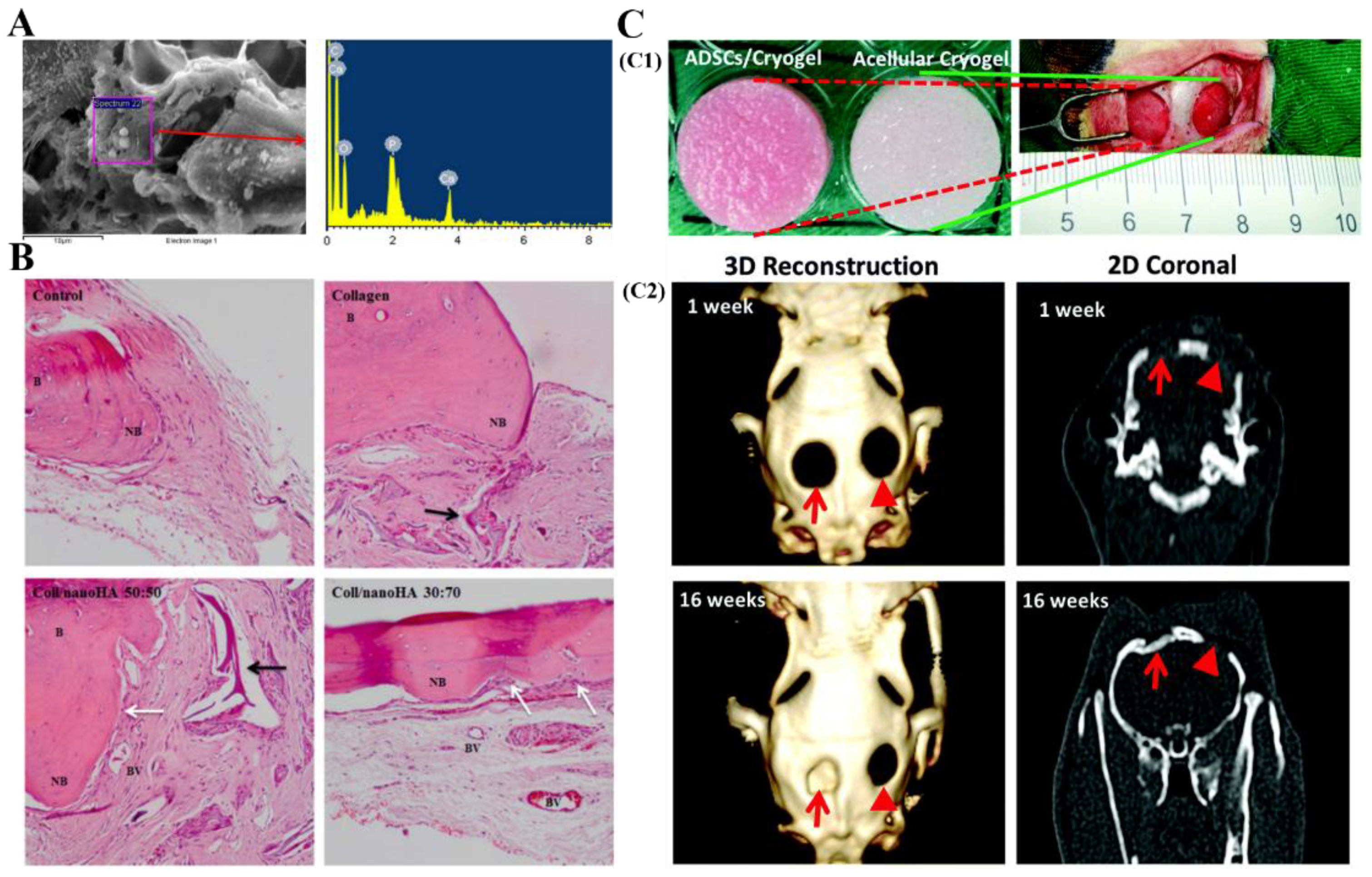 Polymers 13 02299 g008