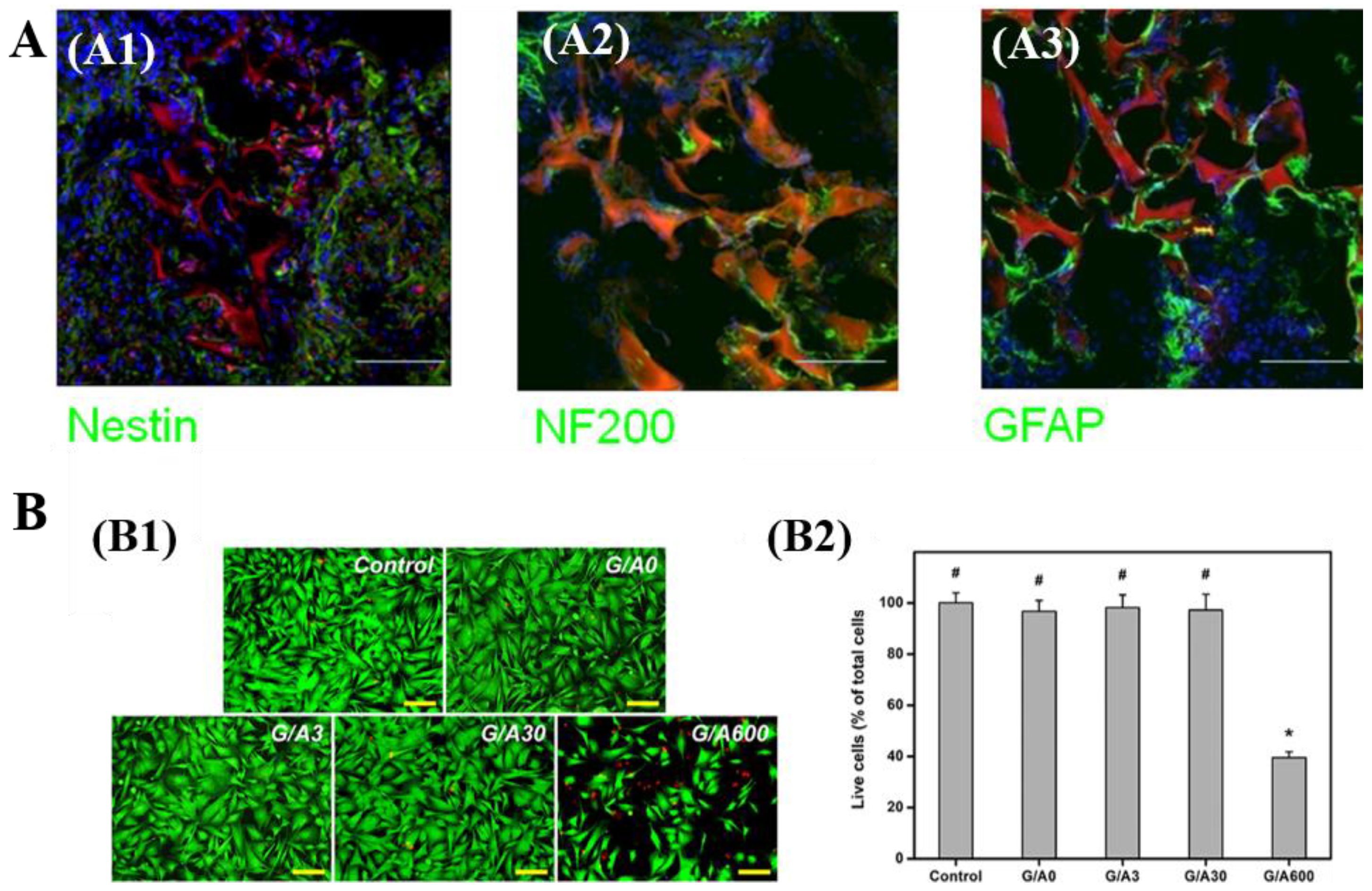Polymers 13 02299 g011