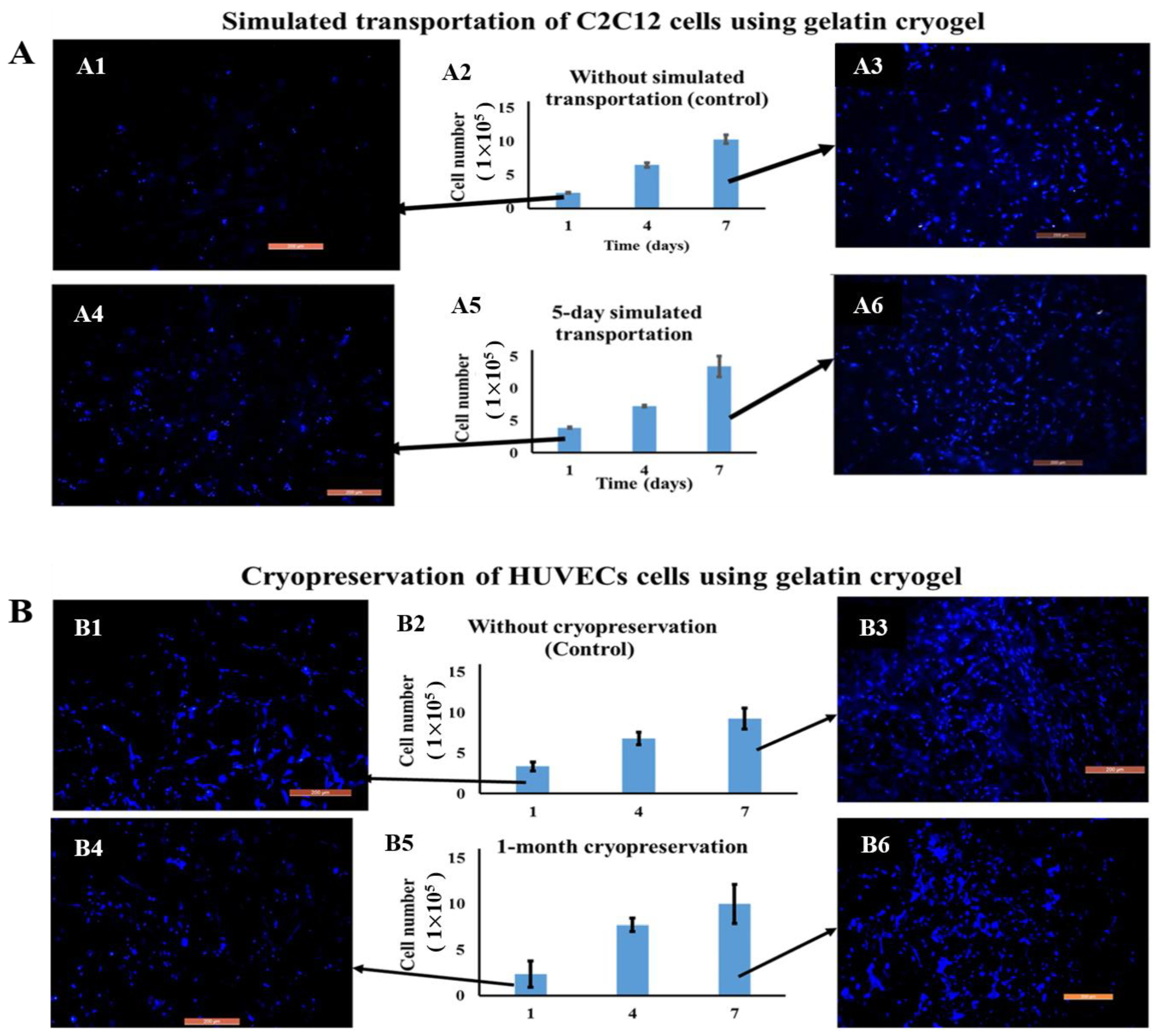 Polymers 13 02299 g013