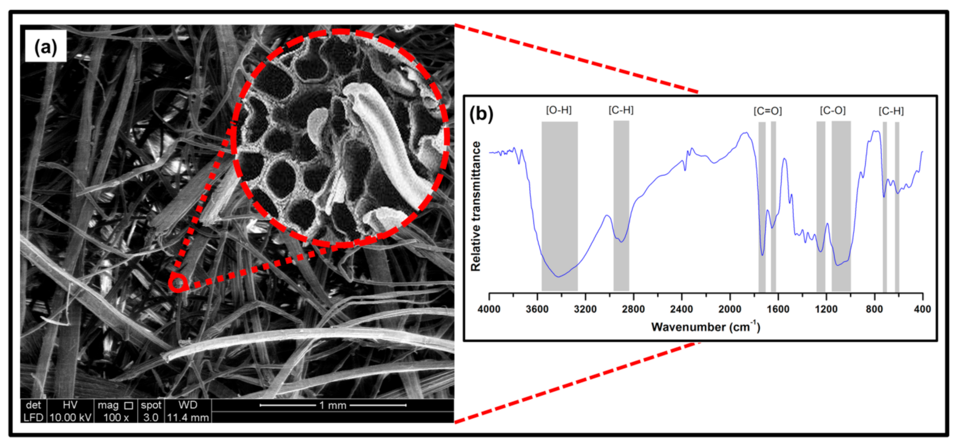 Polymers 13 02303 g003