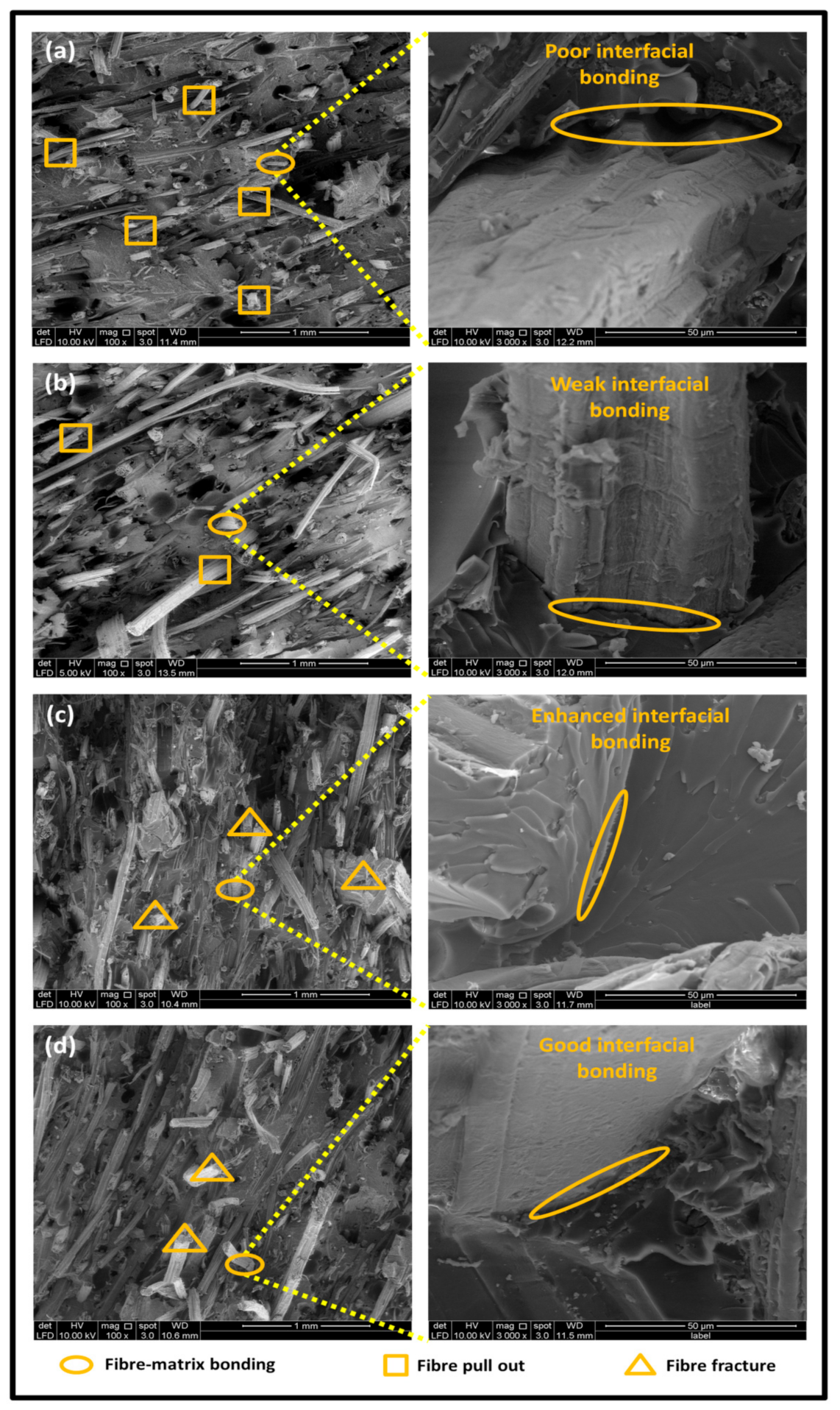 Polymers 13 02303 g006