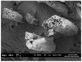 Polymers 13 02303 i005