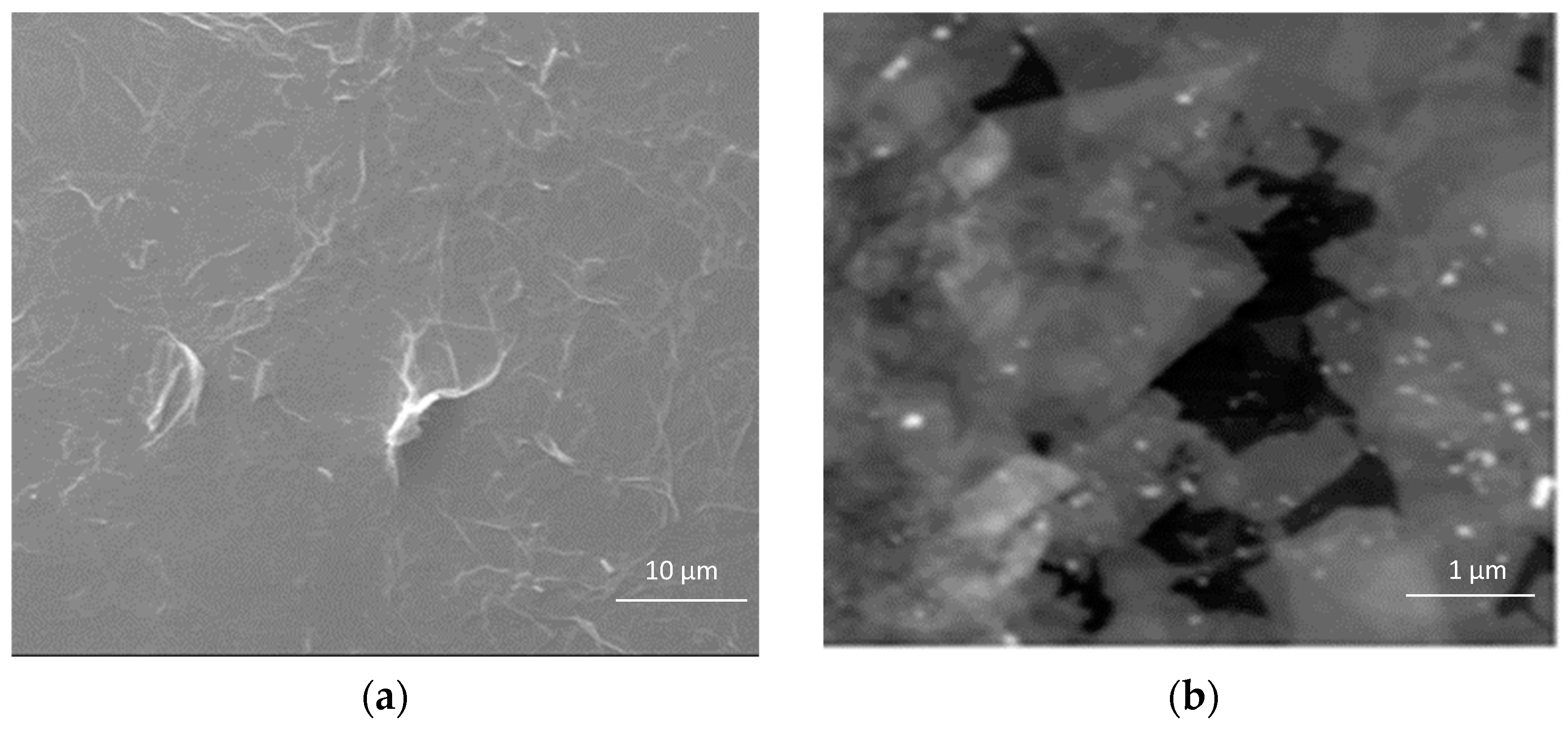 Polymers 13 02305 g005 550