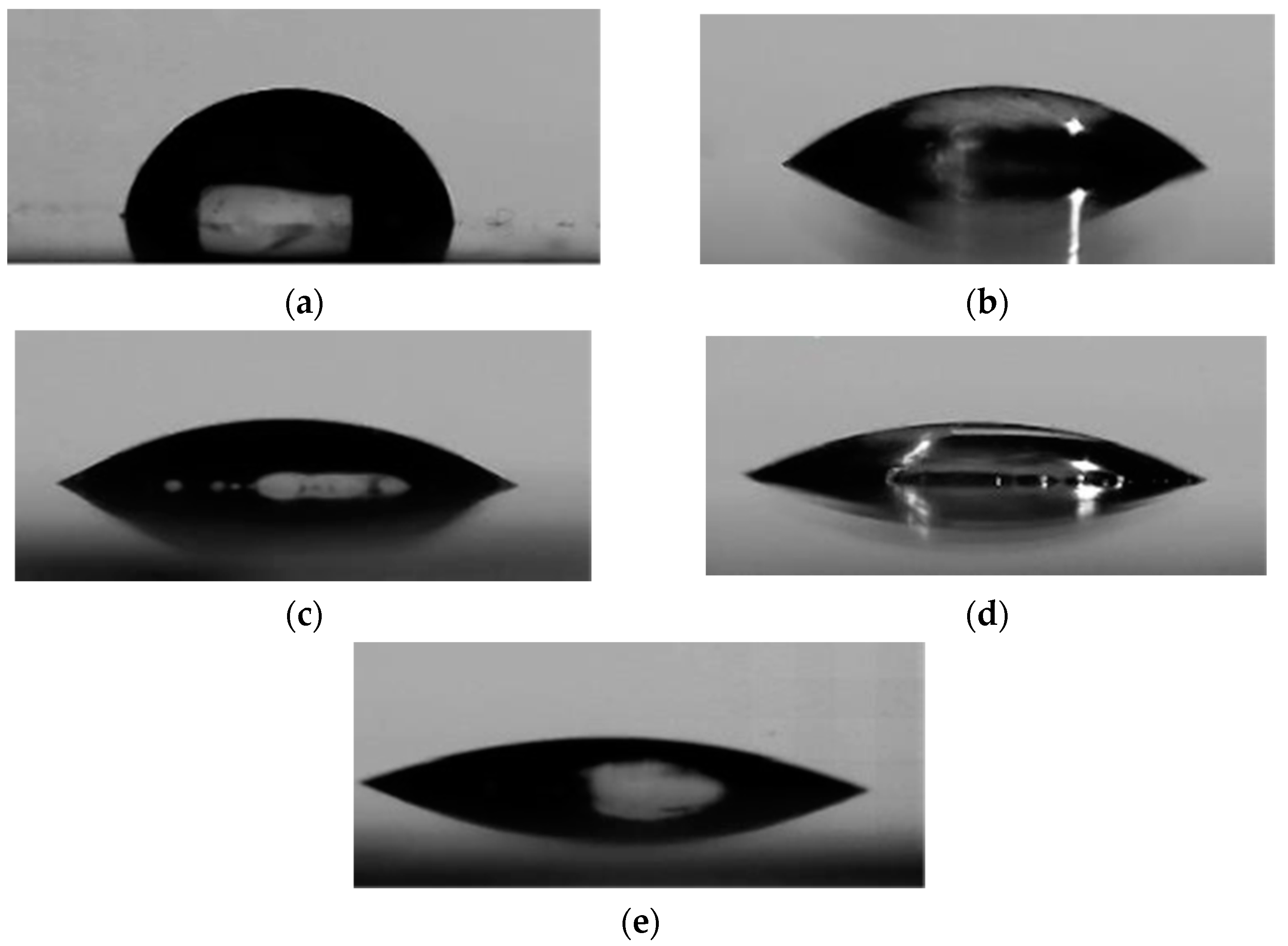 Polymers 13 02305 g009 550