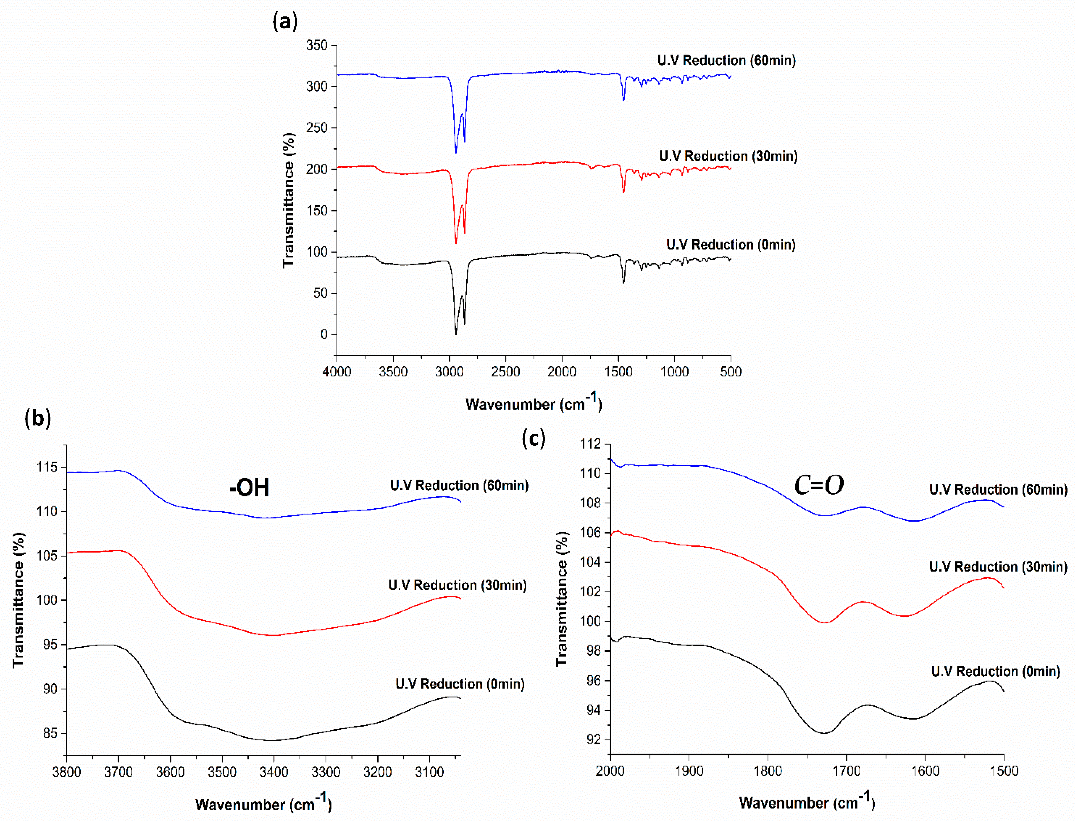 Polymers 13 02305 g012 550