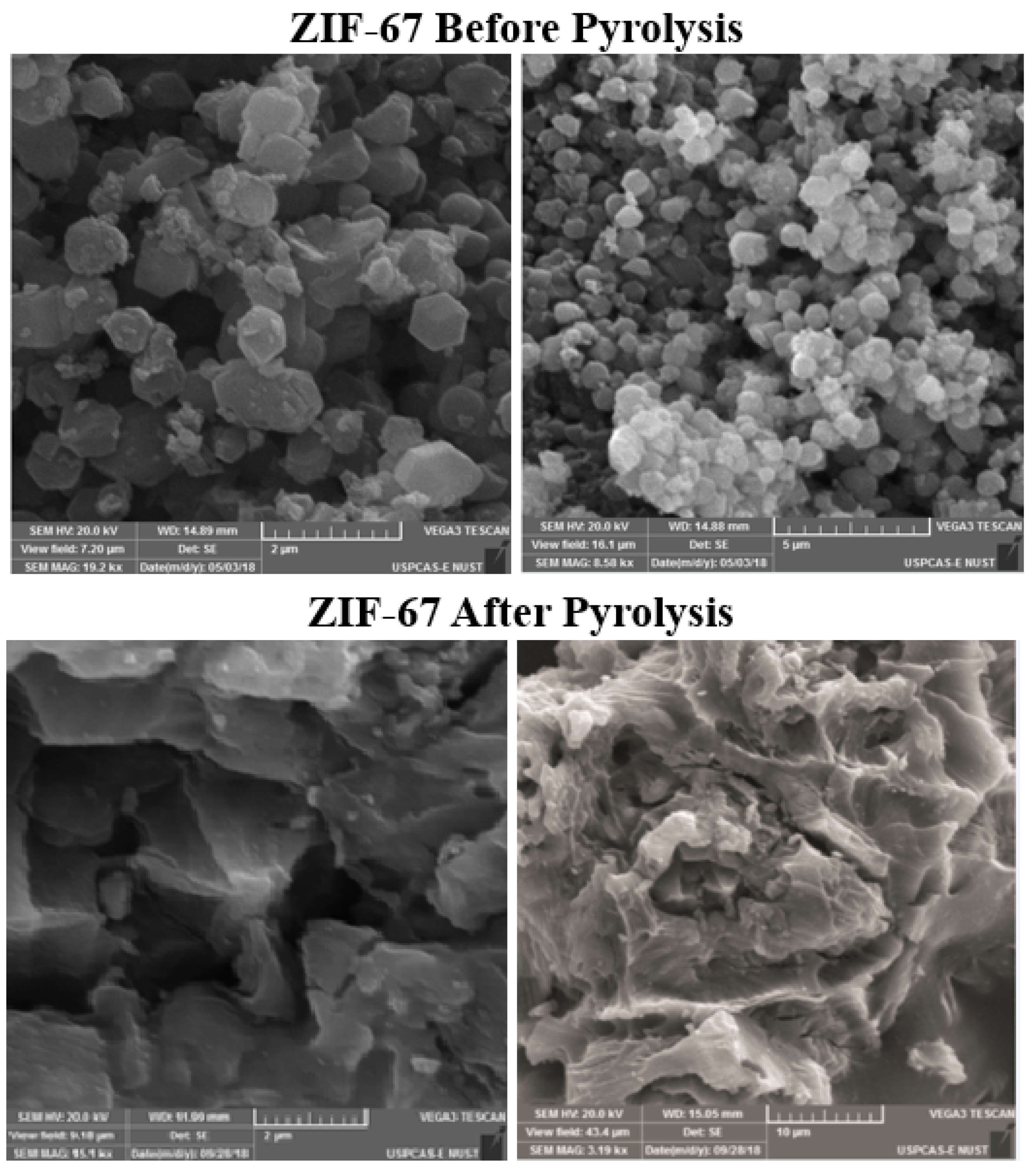 Polymers 13 02307 g001 550