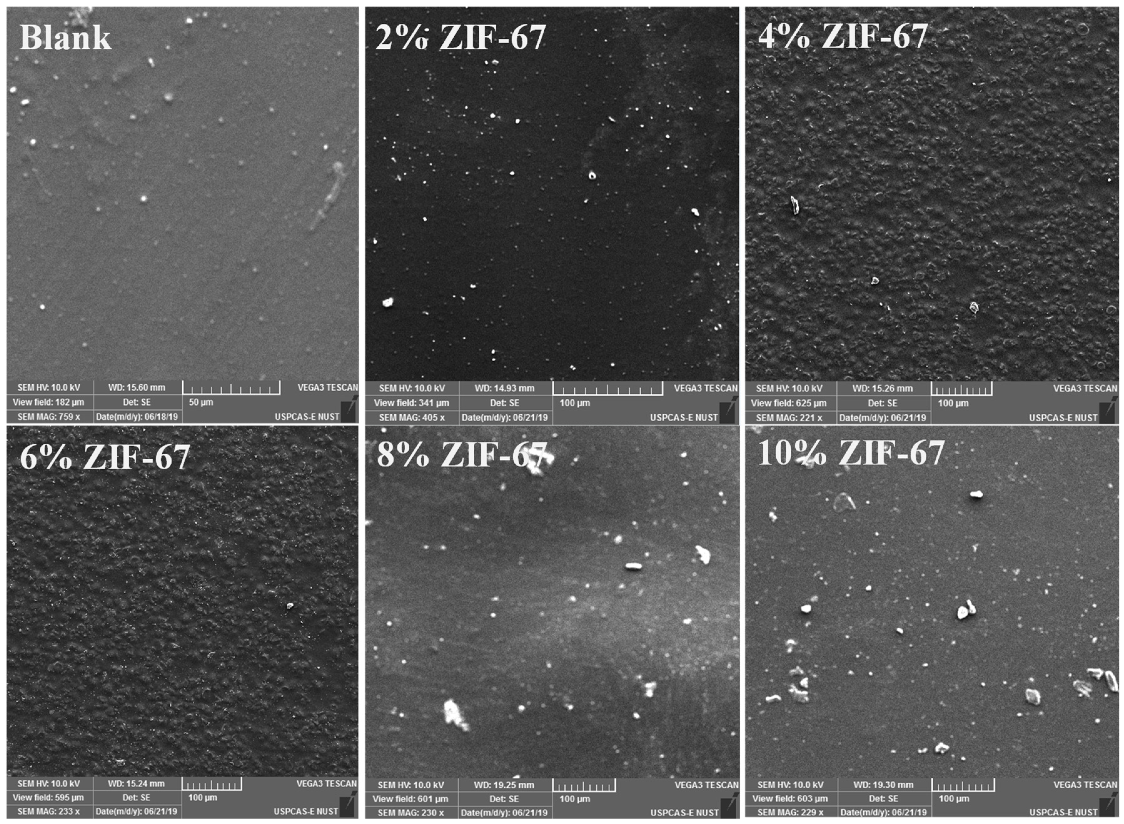 Polymers 13 02307 g002 550