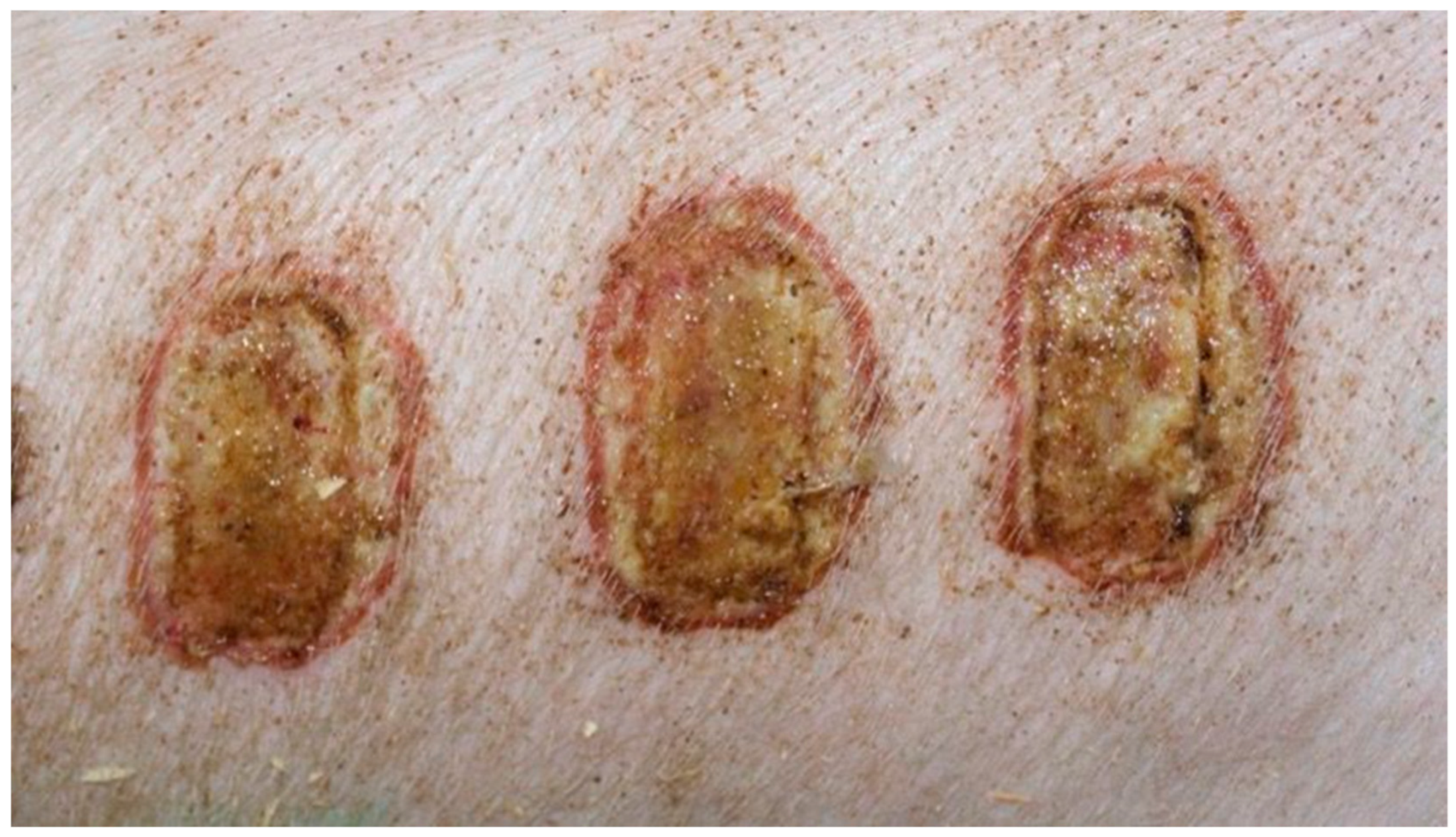 Polymers 13 02312 g002