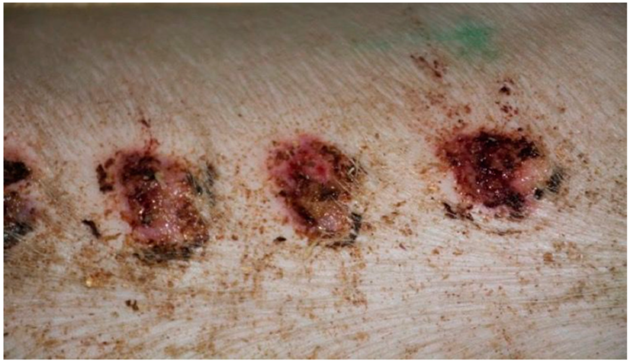 Polymers 13 02312 g005