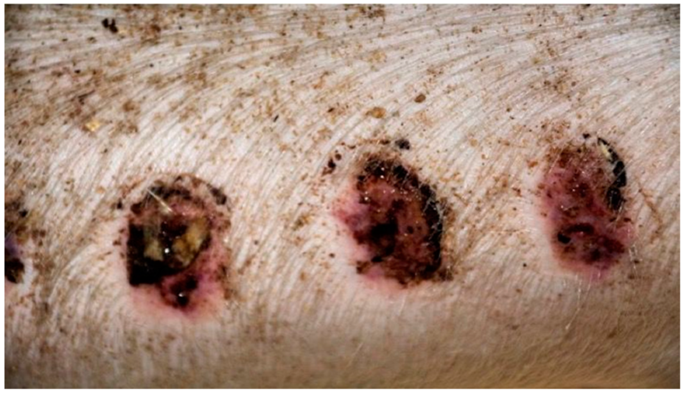 Polymers 13 02312 g006