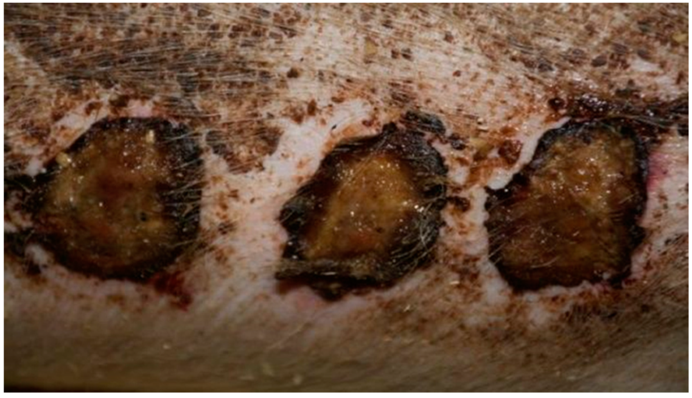 Polymers 13 02312 g007