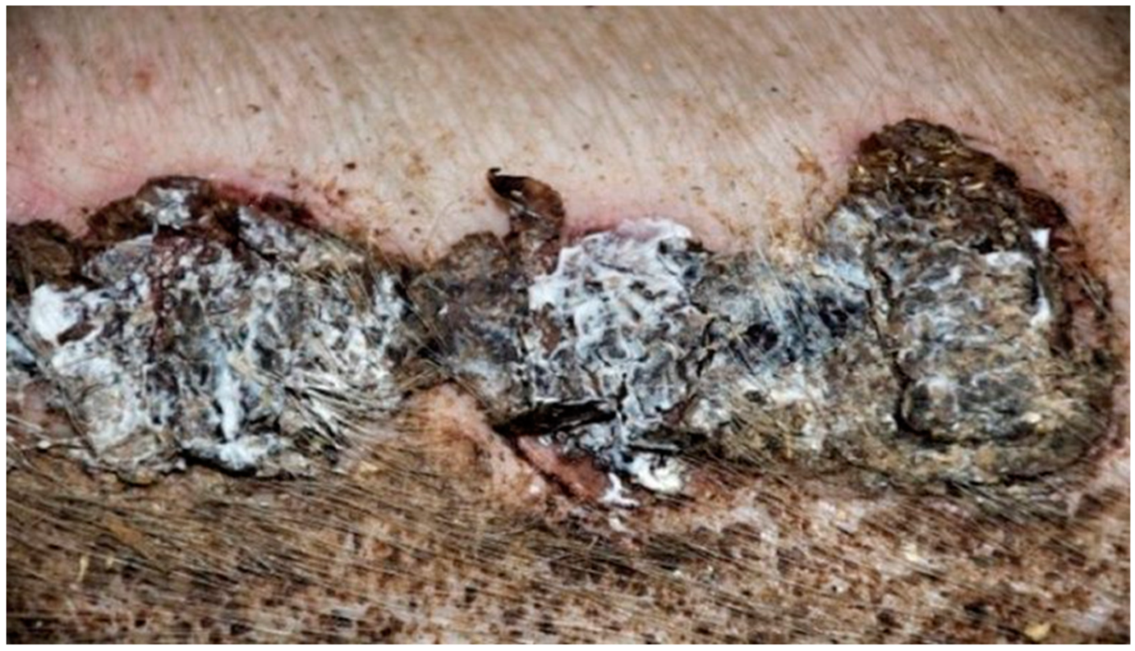 Polymers 13 02312 g008