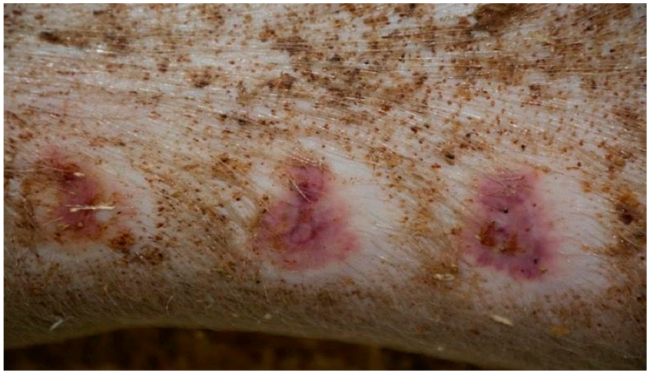 Polymers 13 02312 g009