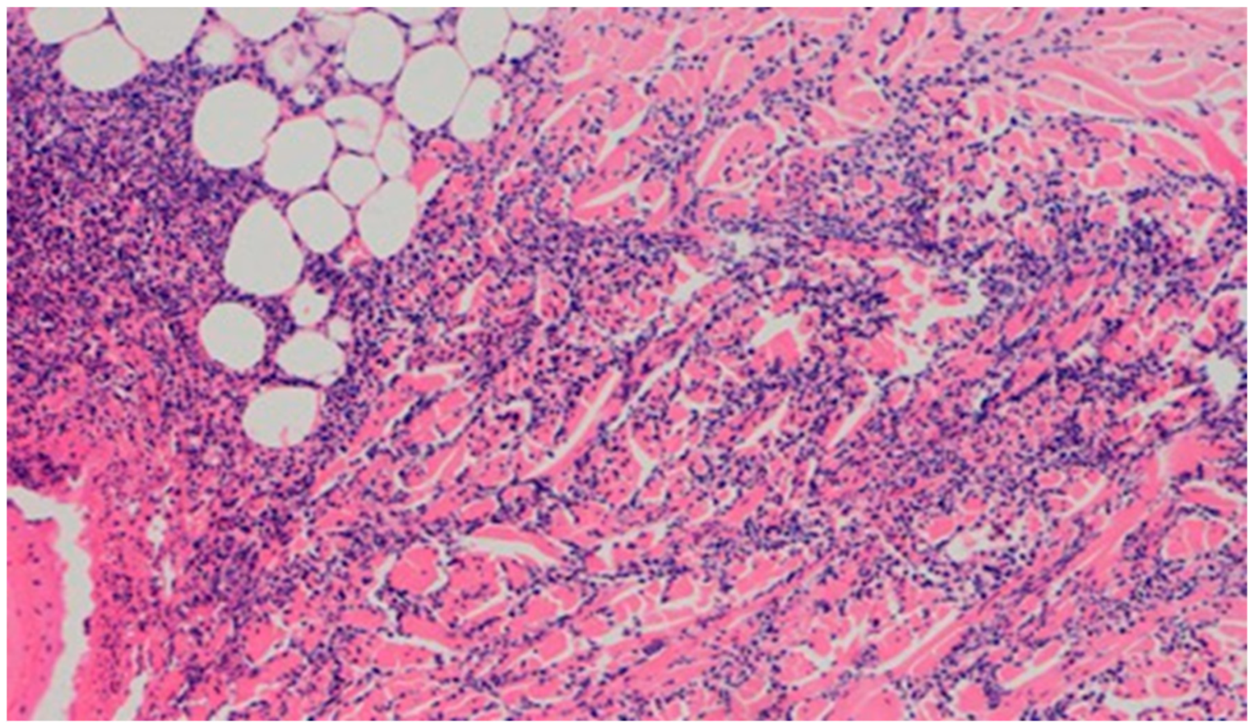 Polymers 13 02312 g013