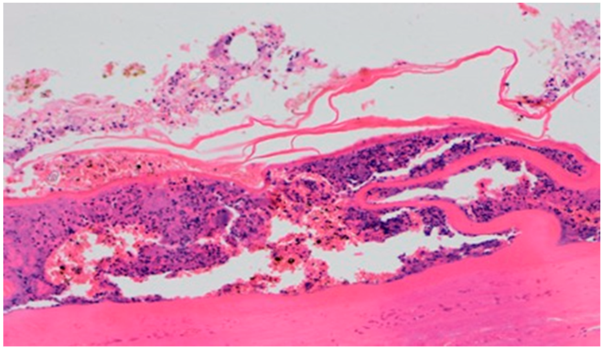 Polymers 13 02312 g014