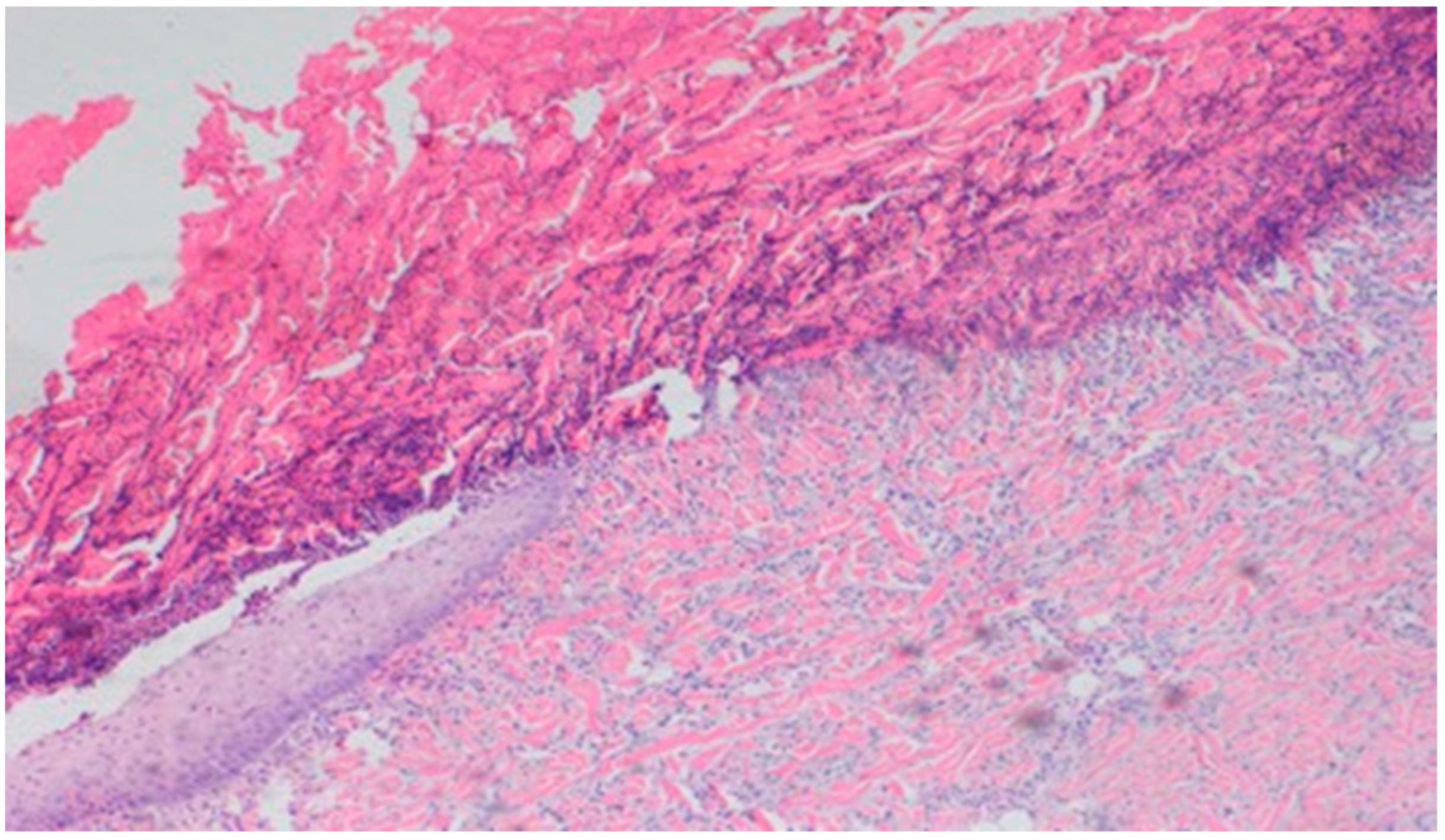 Polymers 13 02312 g015
