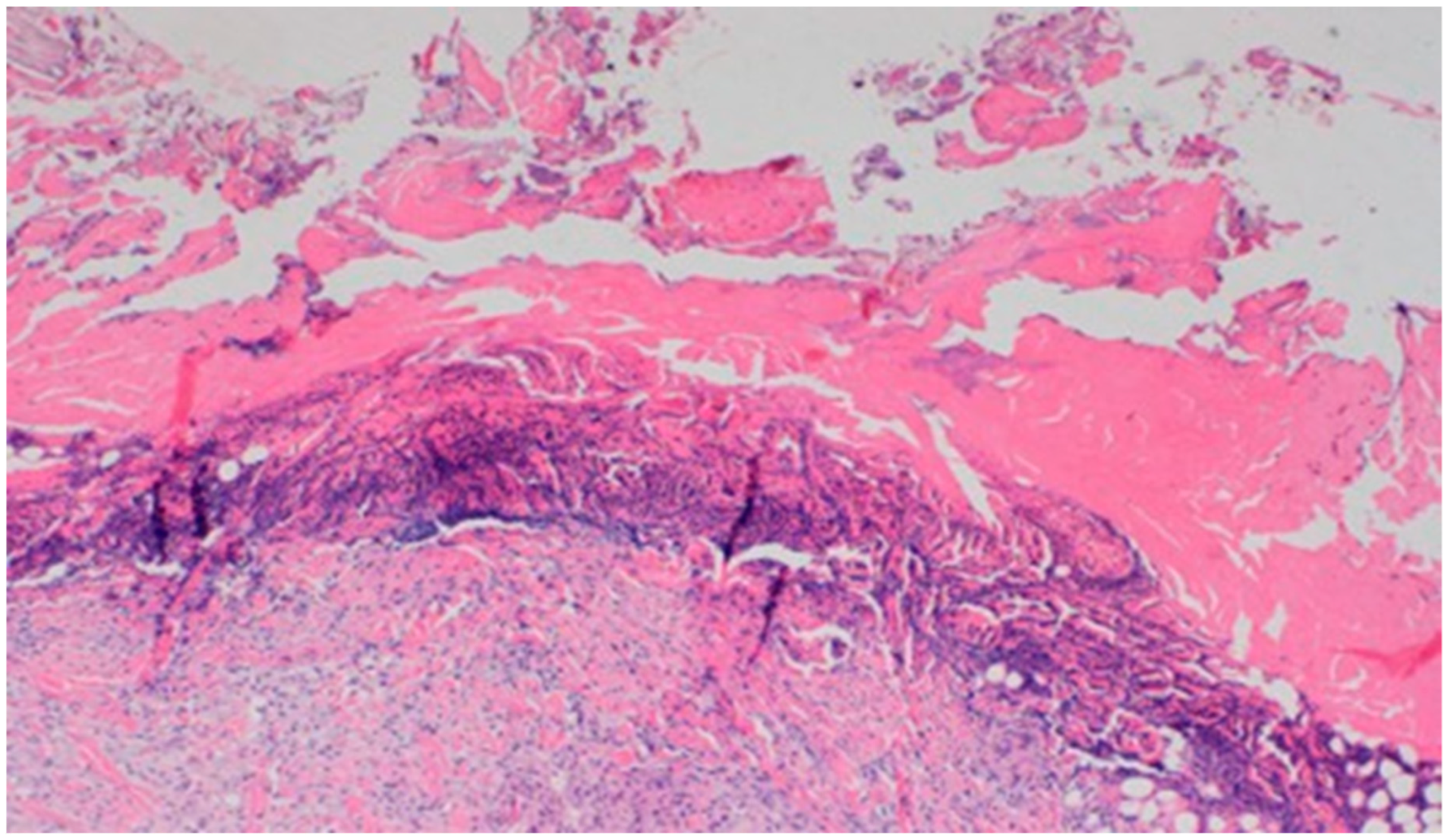 Polymers 13 02312 g016