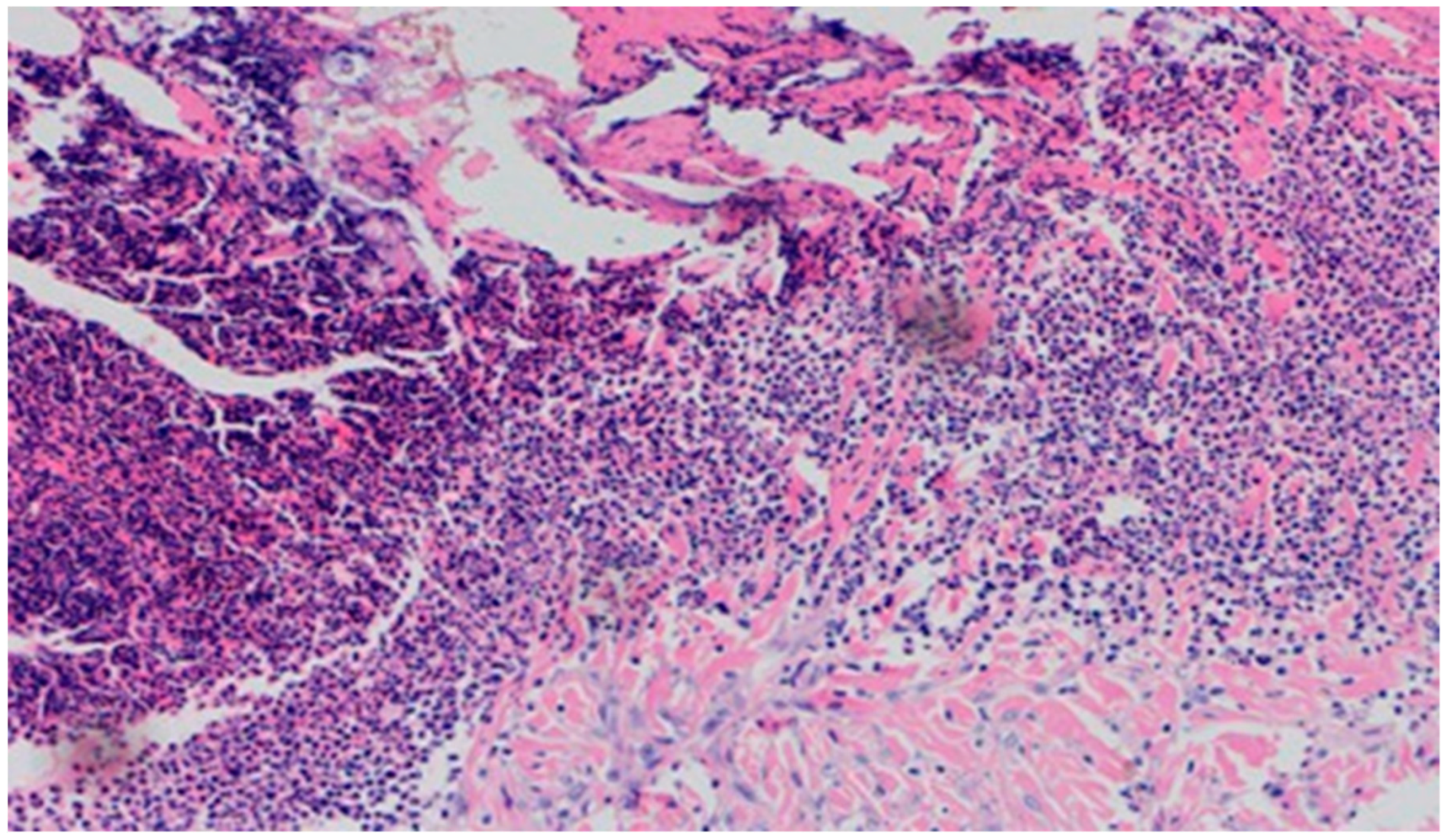 Polymers 13 02312 g018