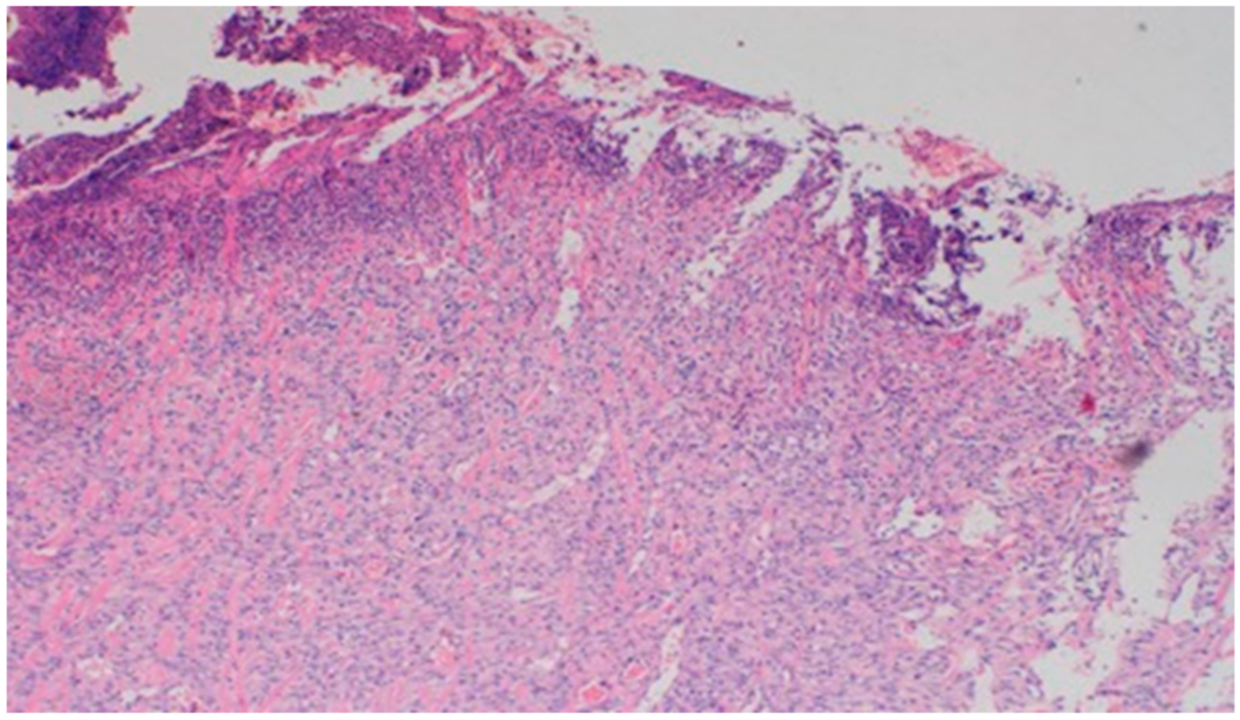 Polymers 13 02312 g019