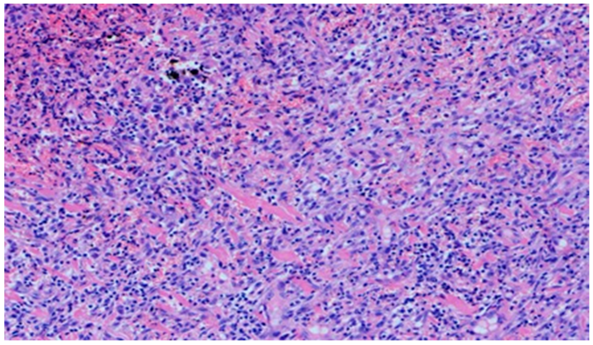 Polymers 13 02312 g020