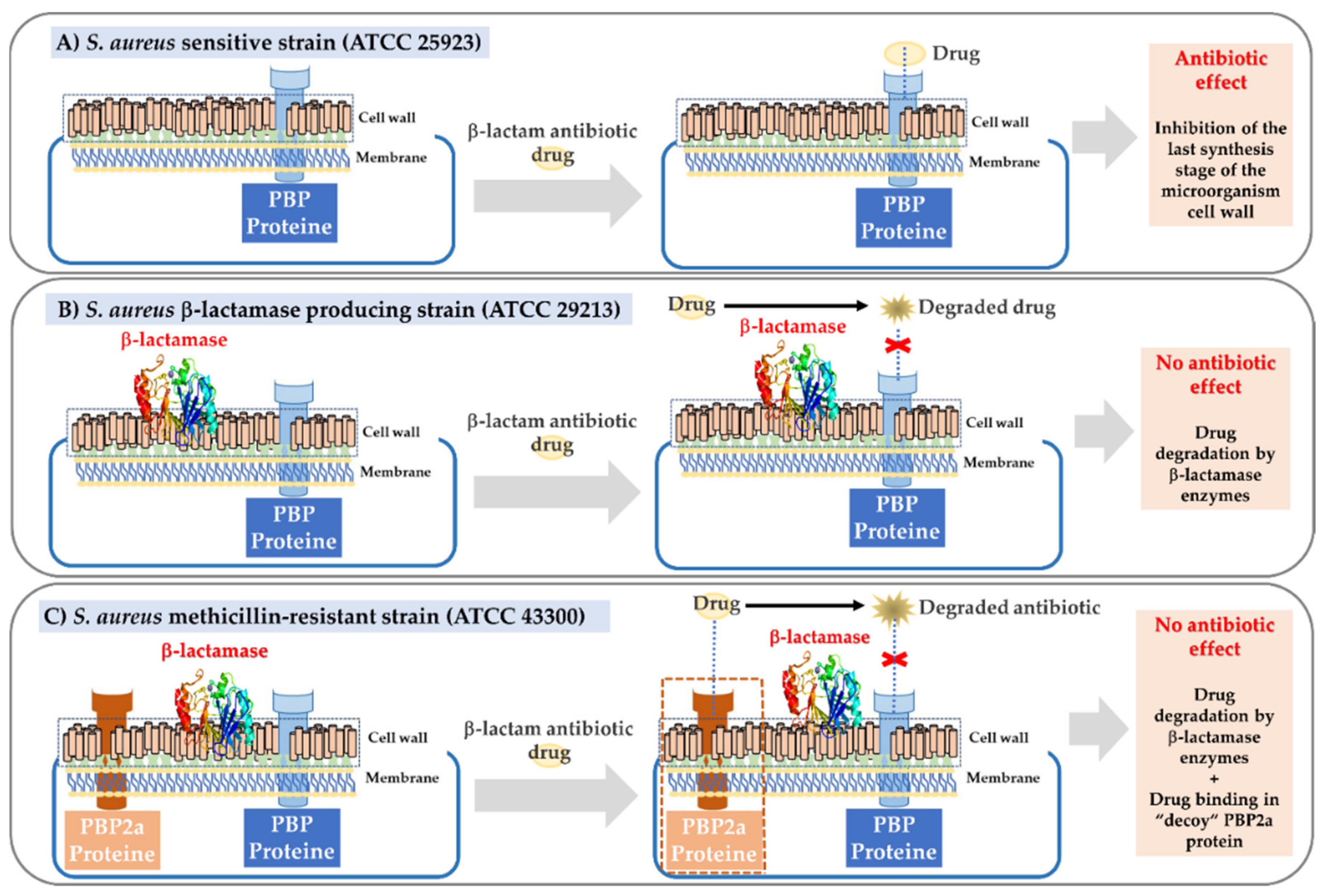Polymers 13 02320 g001 Polymers 13 02320 g001