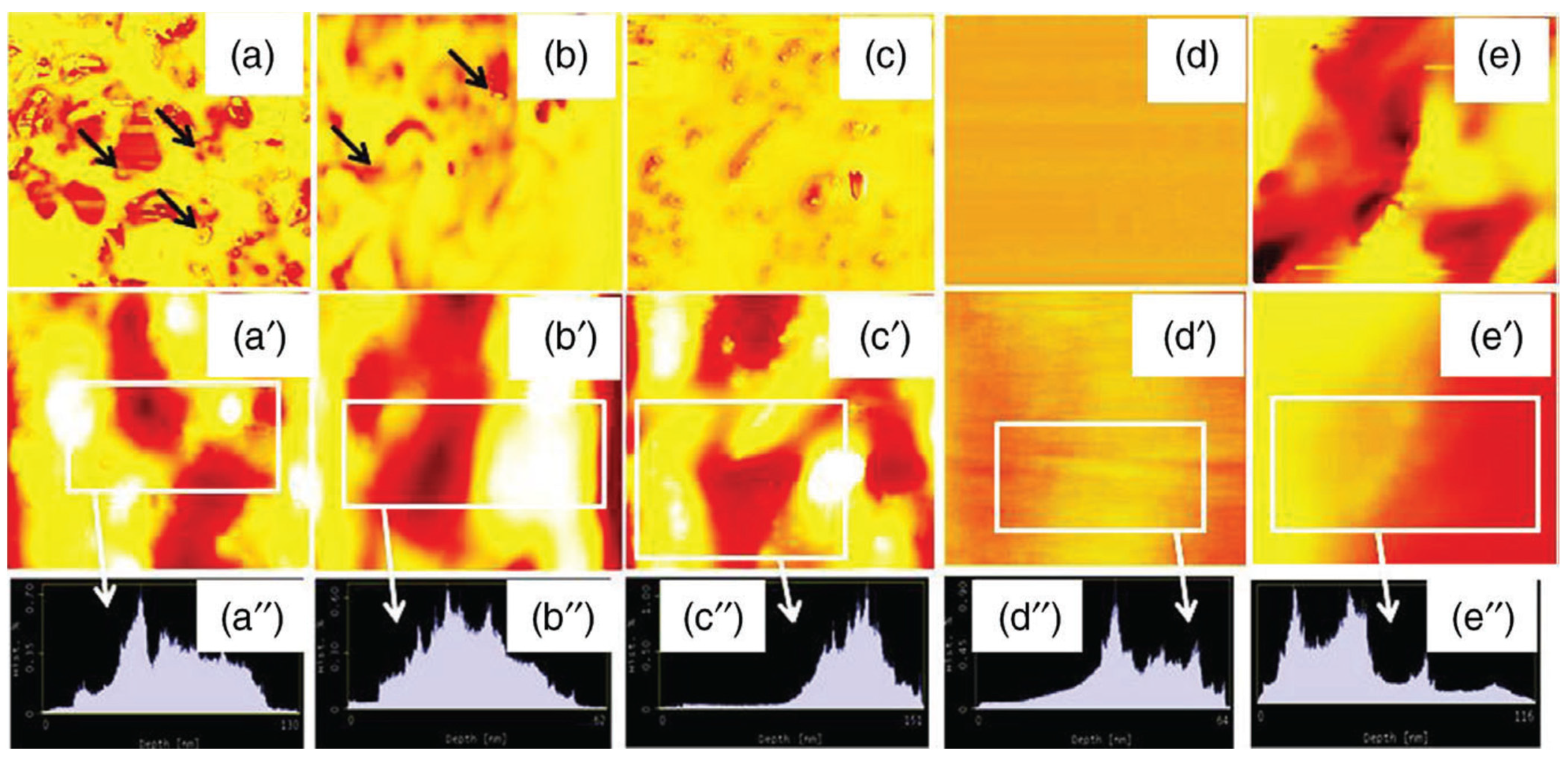 Polymers 13 02322 g003