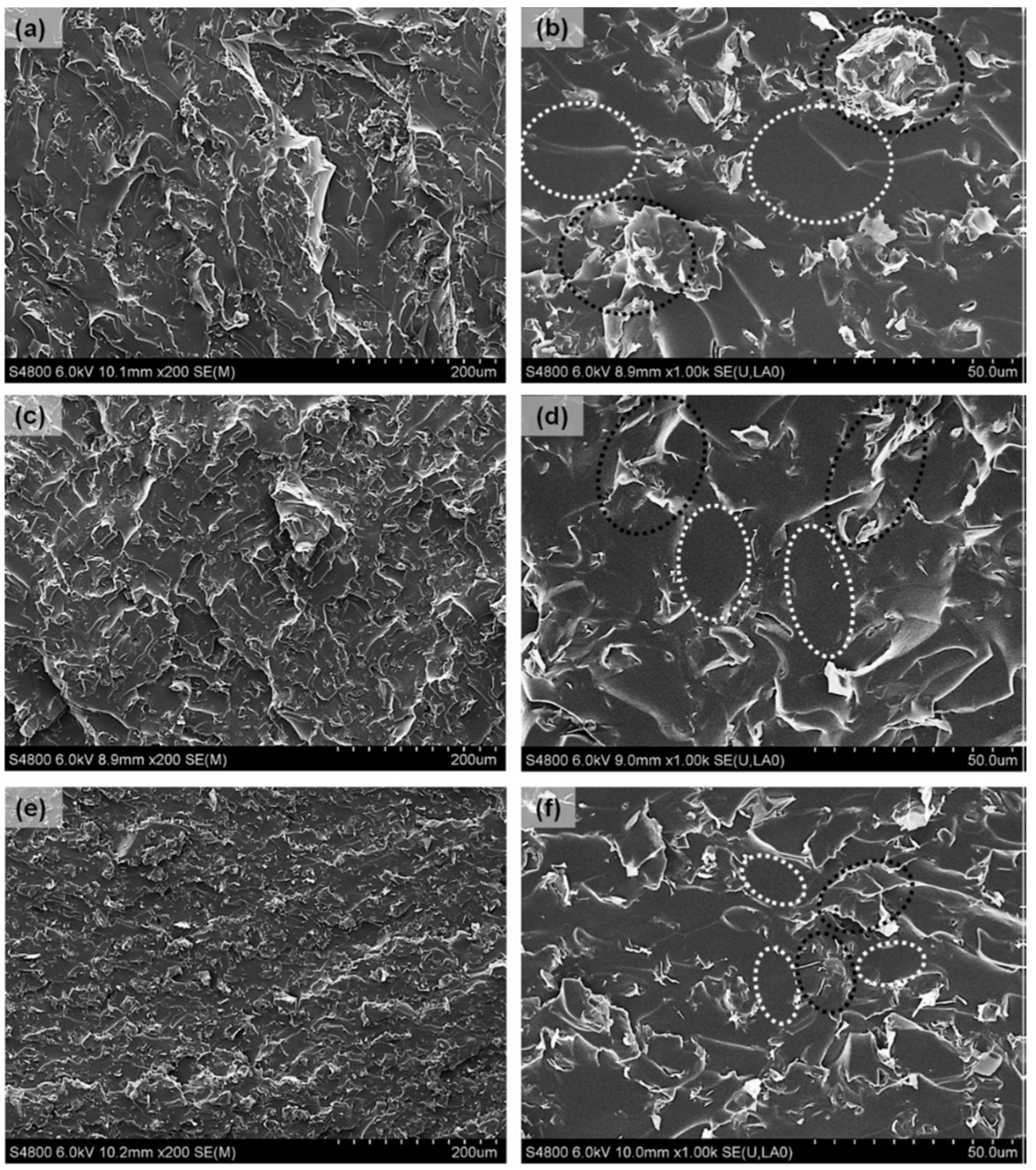 Polymers 13 02322 g005