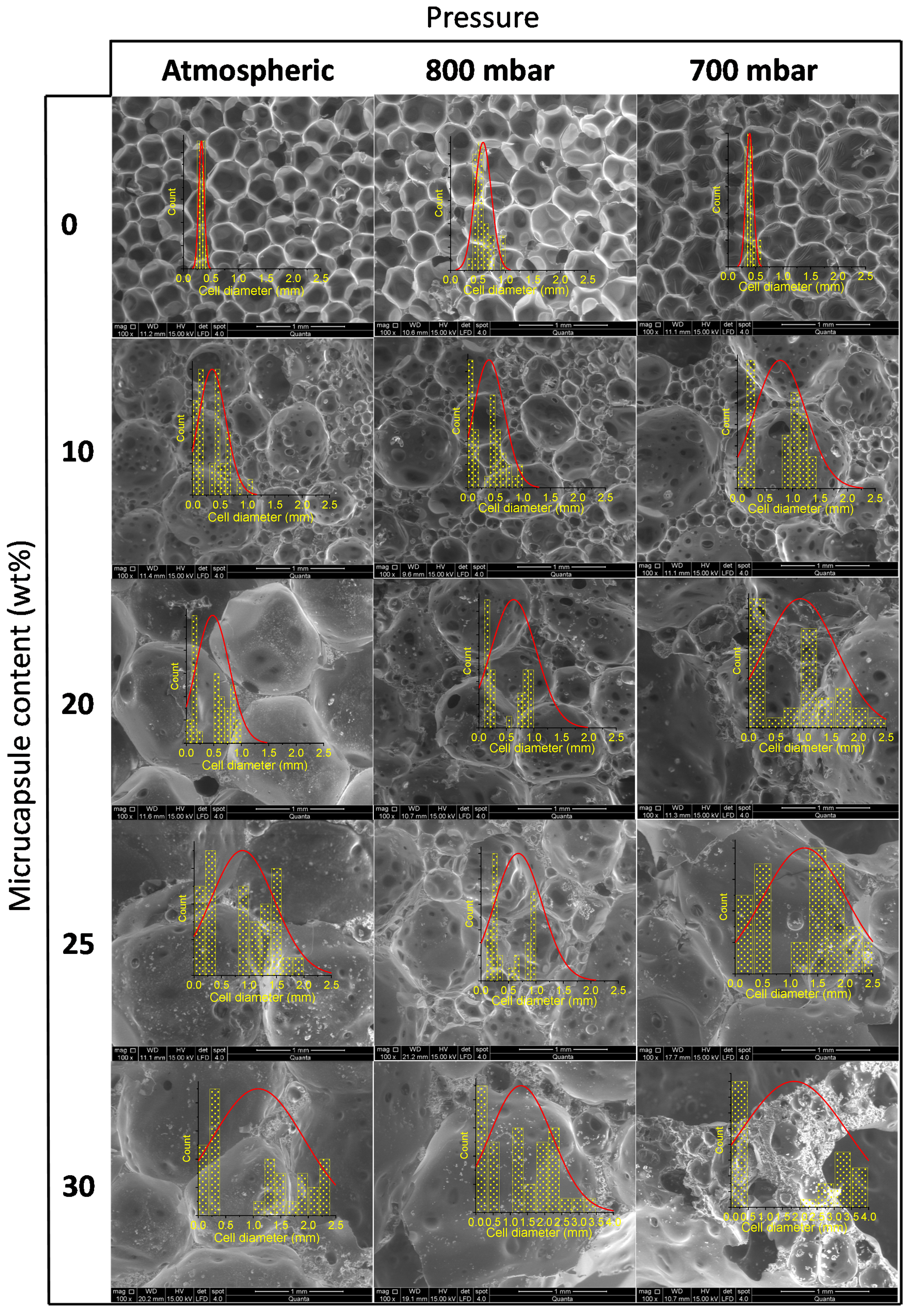 Polymers 13 02328 g006 550