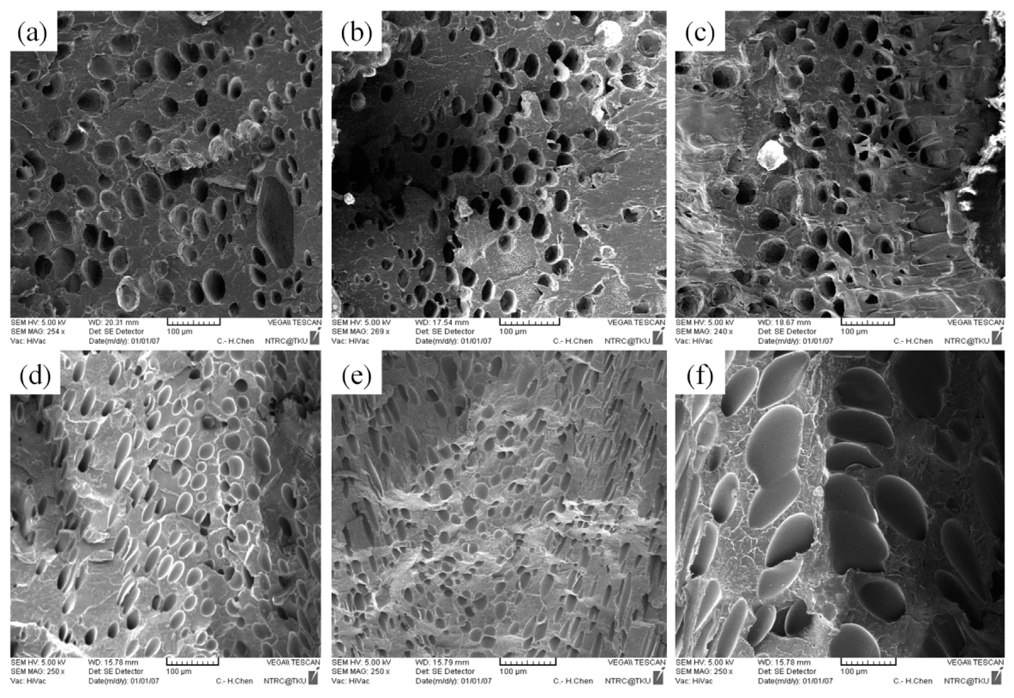 Polymers 13 02331 g008 550