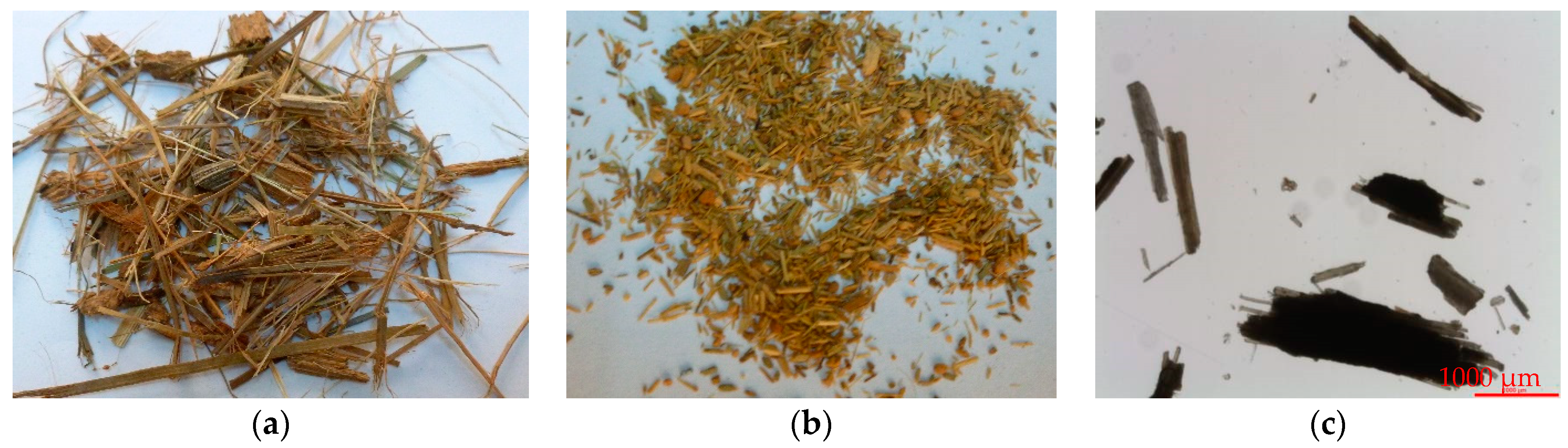 Polymers 13 02335 g002