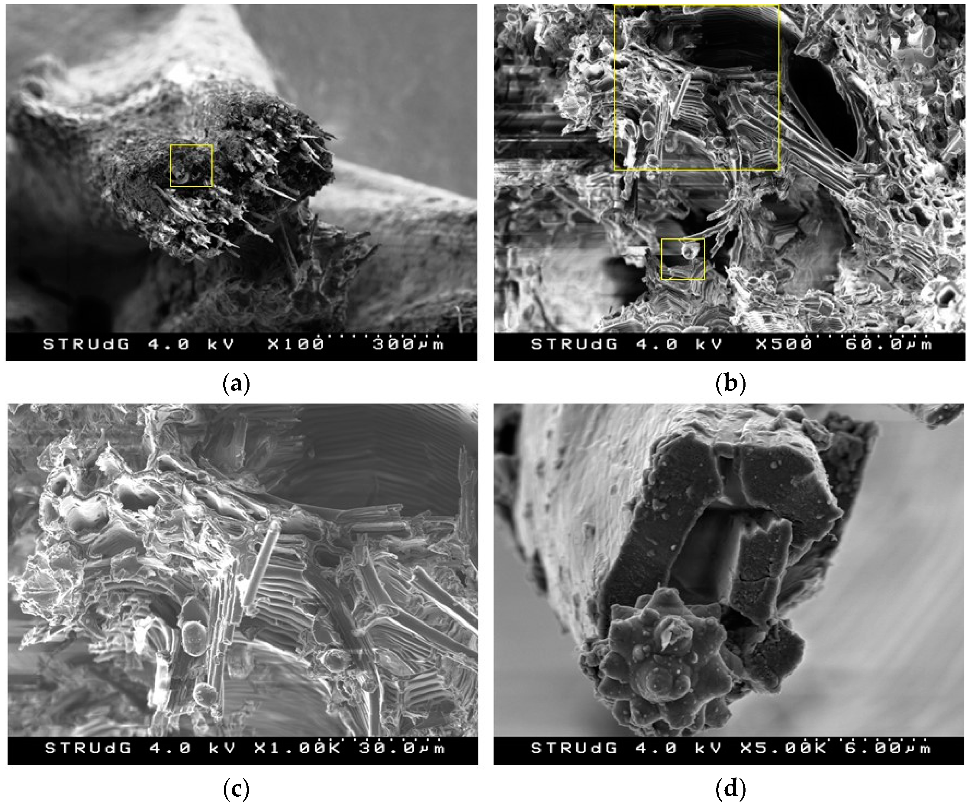 Polymers 13 02335 g003