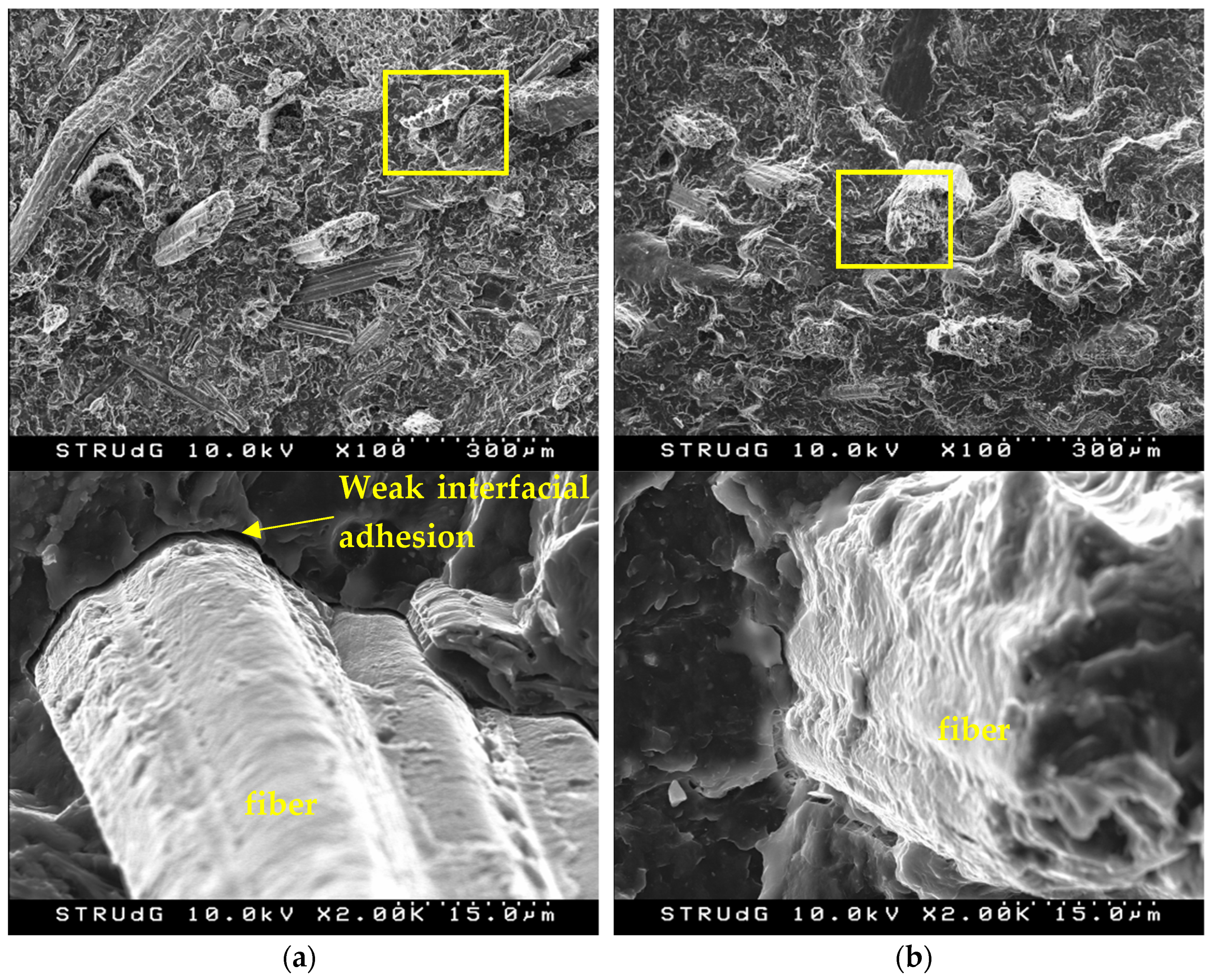 Polymers 13 02335 g006