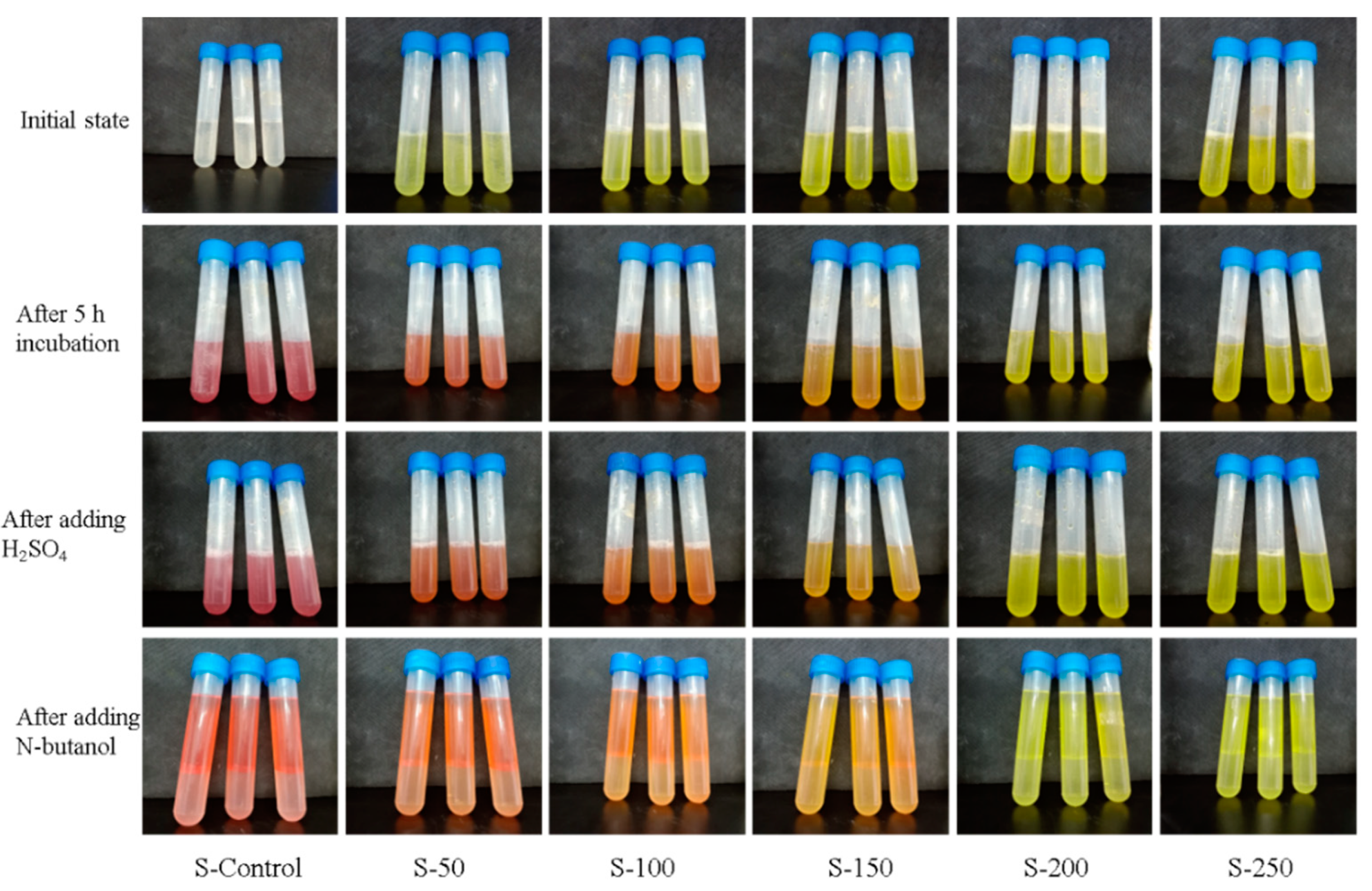 Polymers 13 02336 g002 550