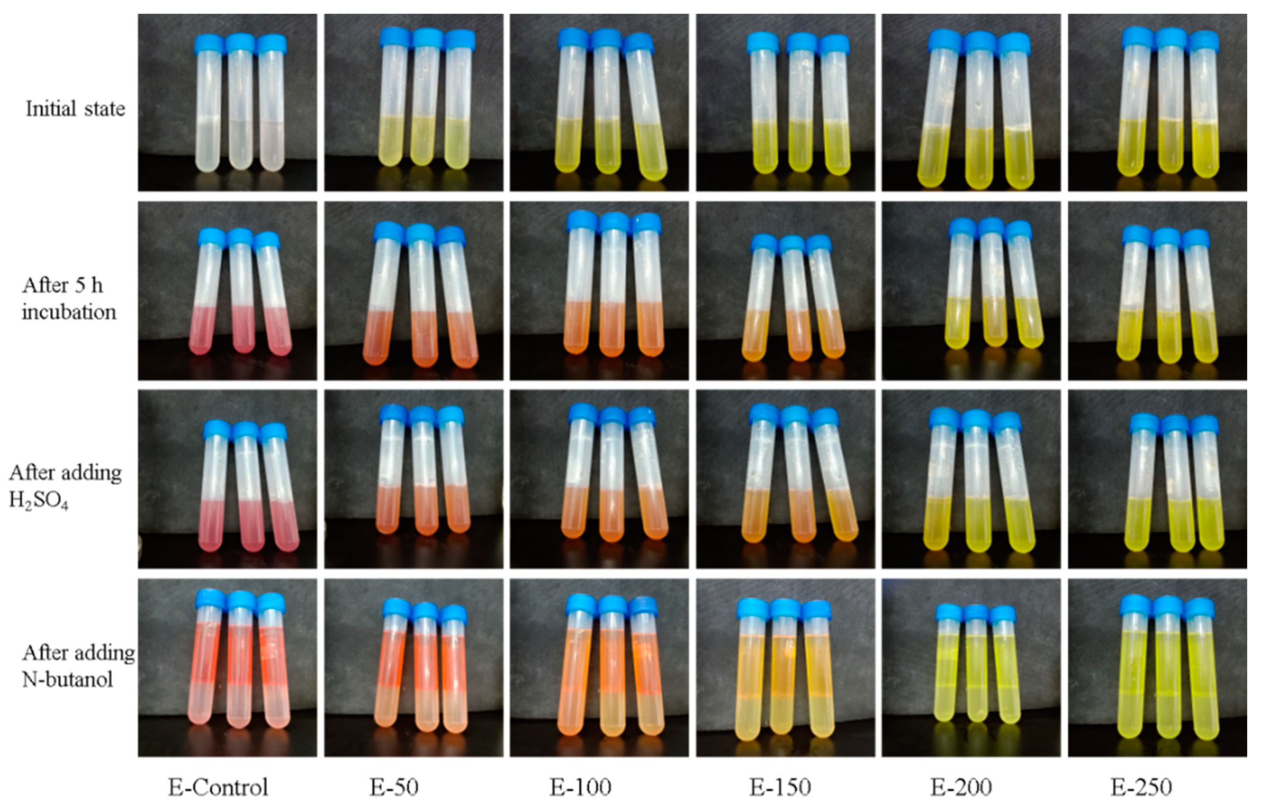 Polymers 13 02336 g003 550