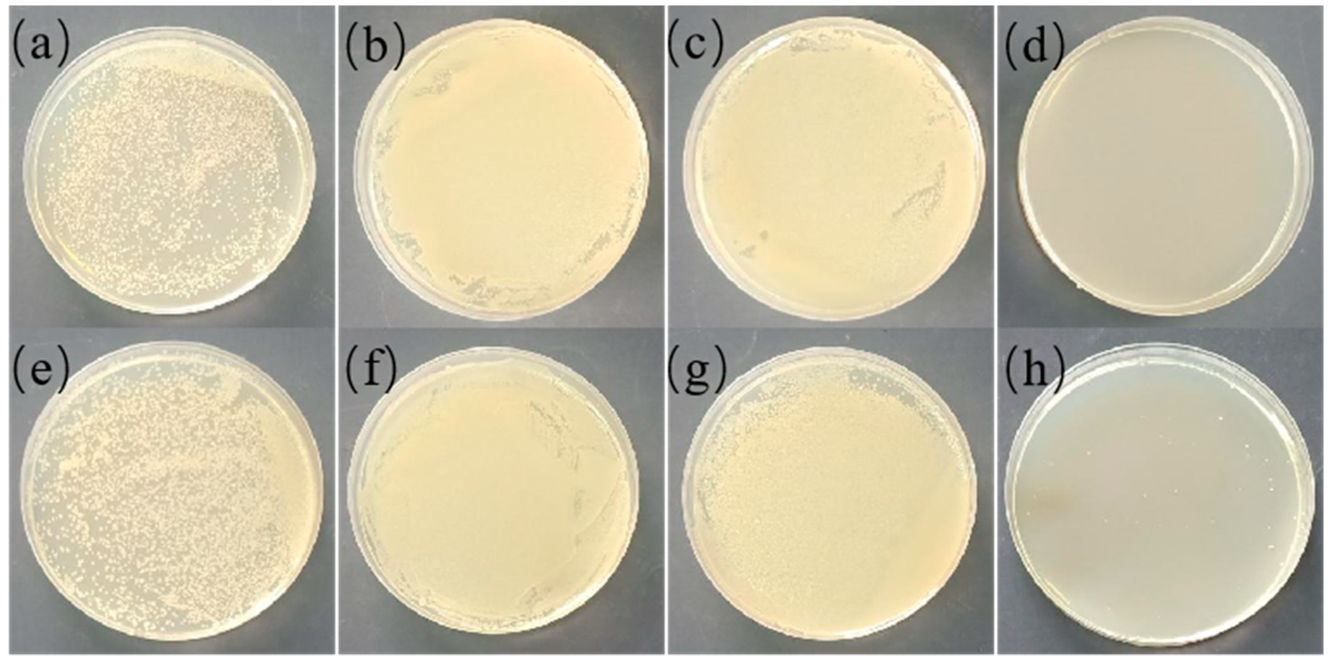 Polymers 13 02336 g011 550