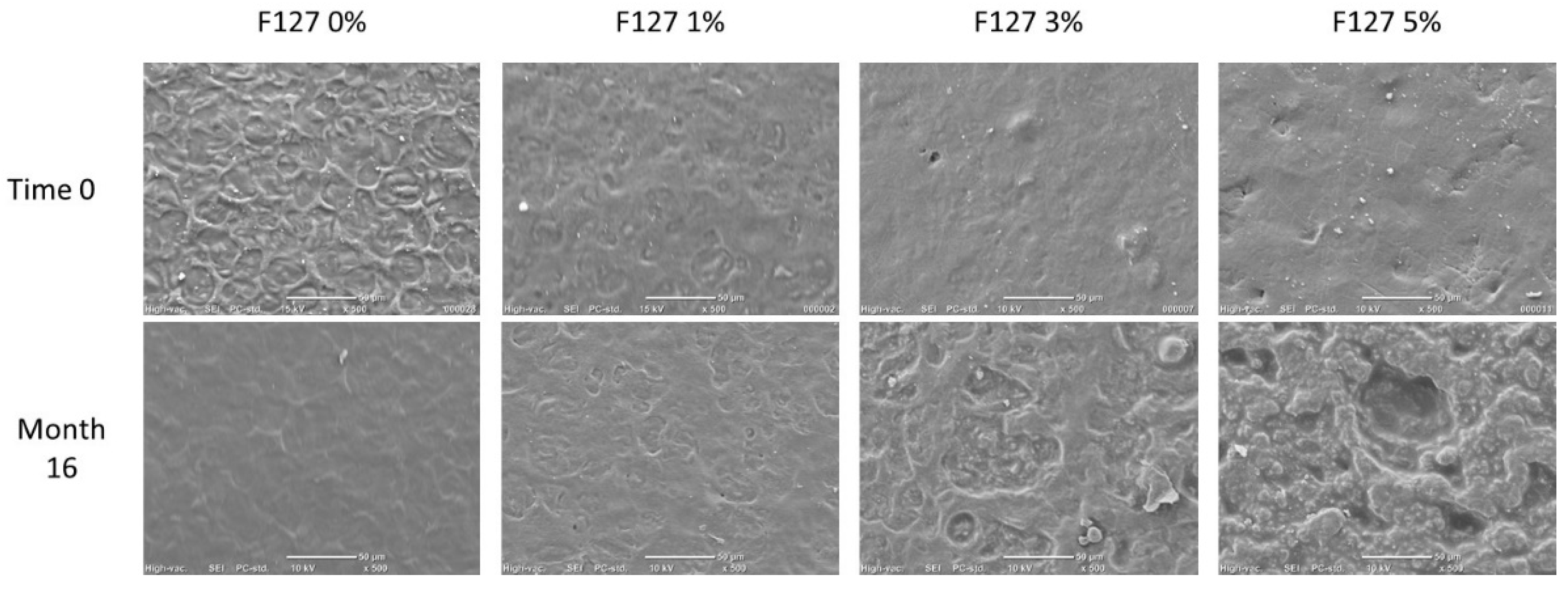 Polymers 13 02341 g002