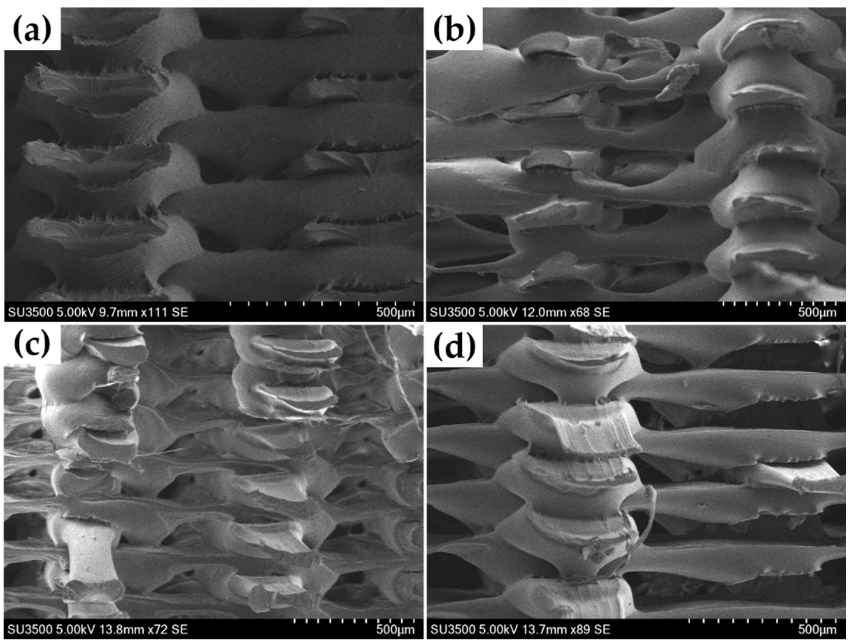 Polymers 13 02344 g007