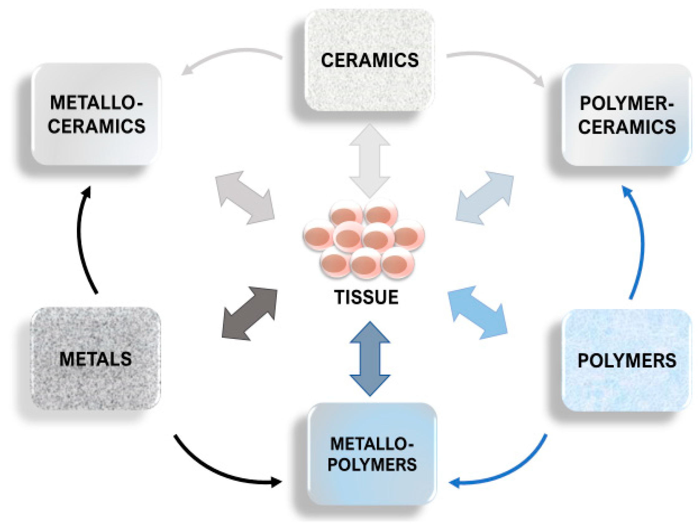 Polymers 13 02348 g001