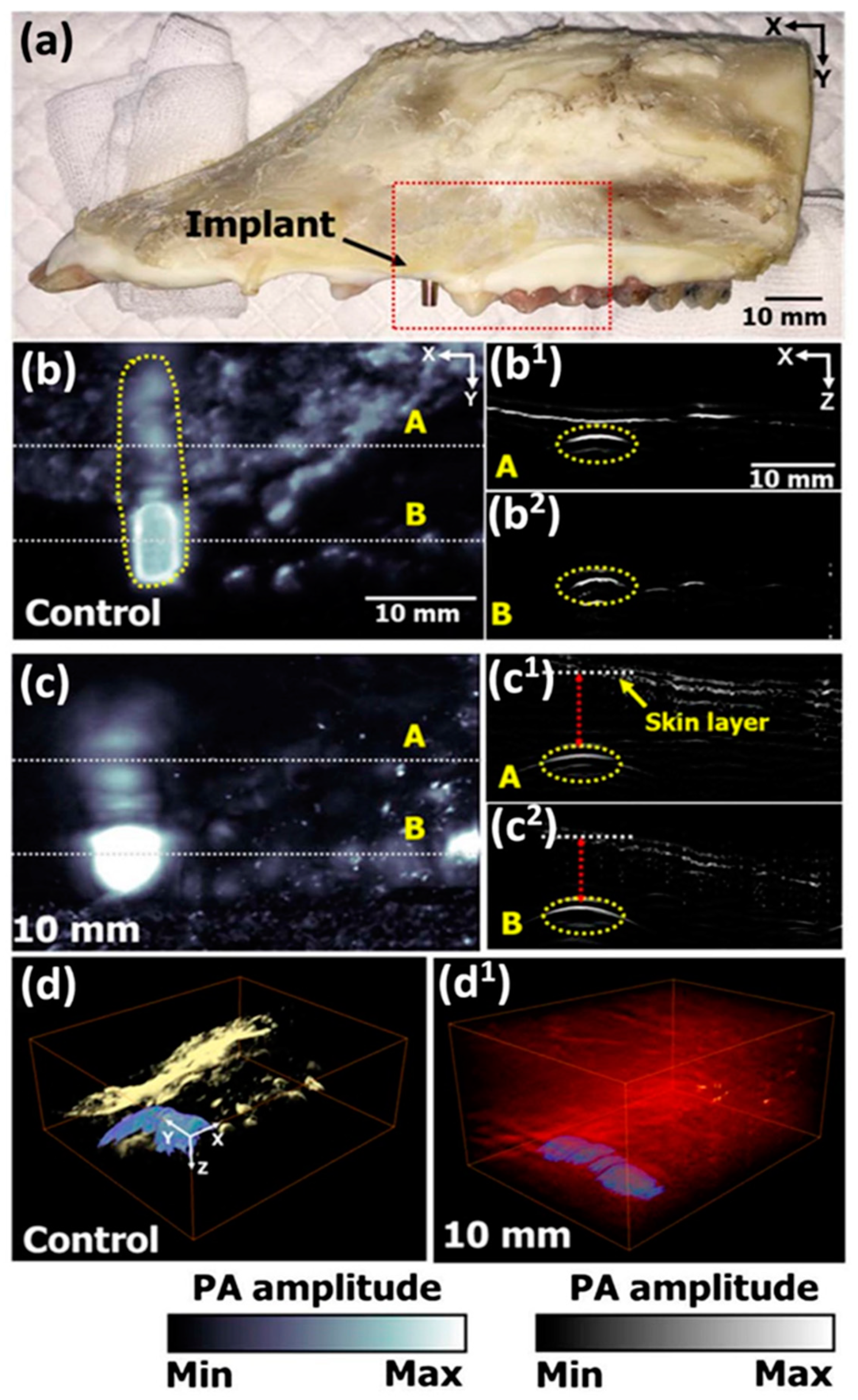 Polymers 13 02348 g007