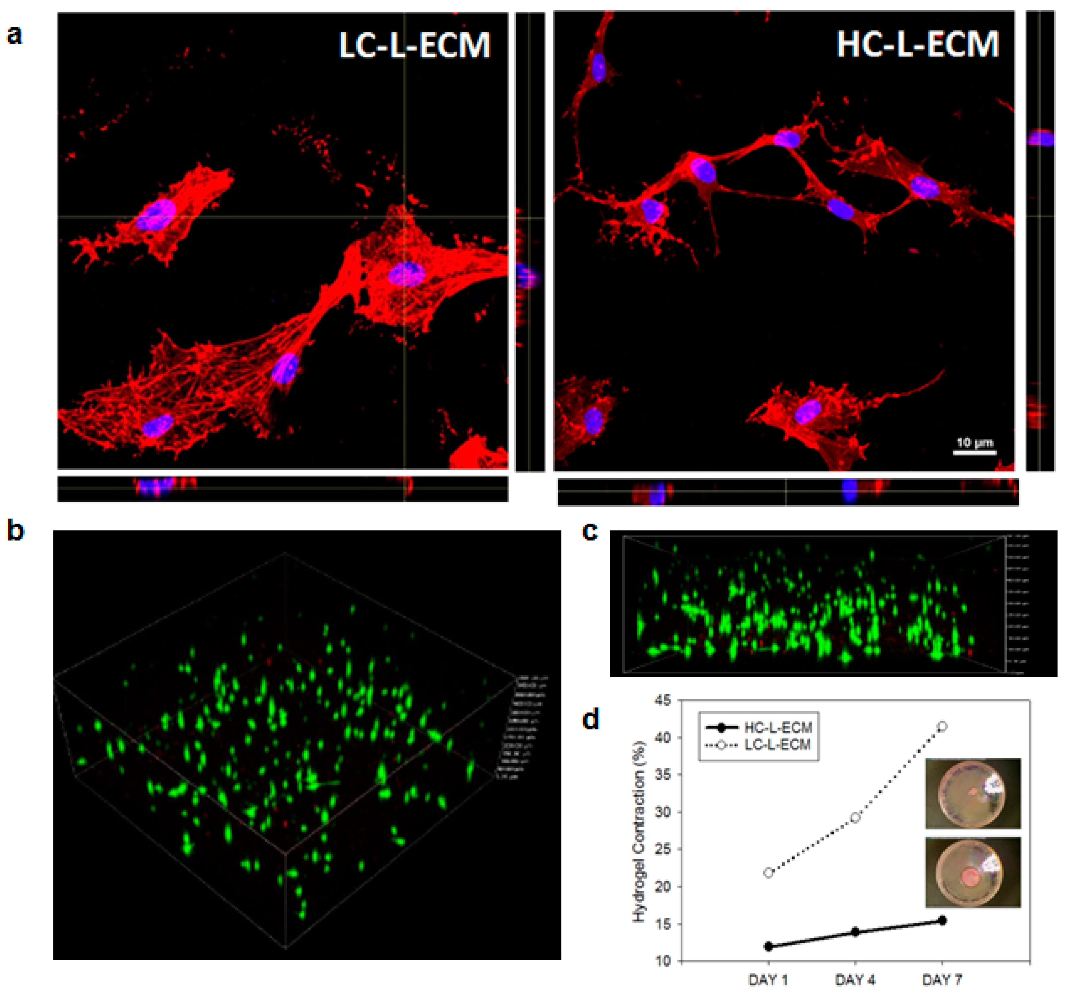 Polymers 13 02350 g002
